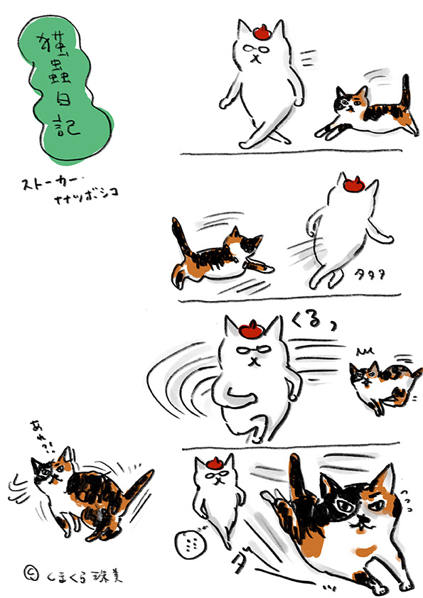 猫蟲日記002