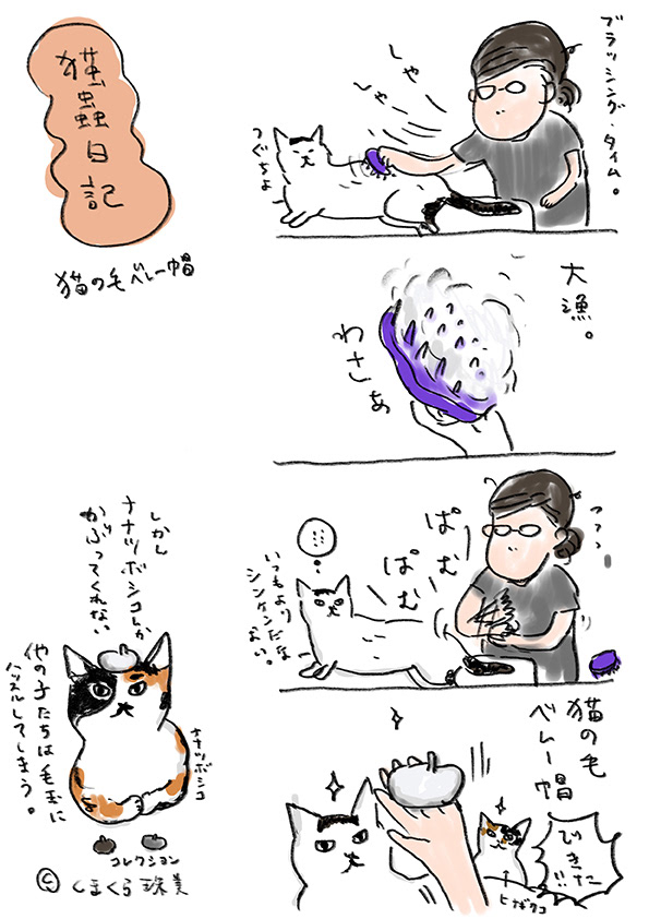猫蟲日記011