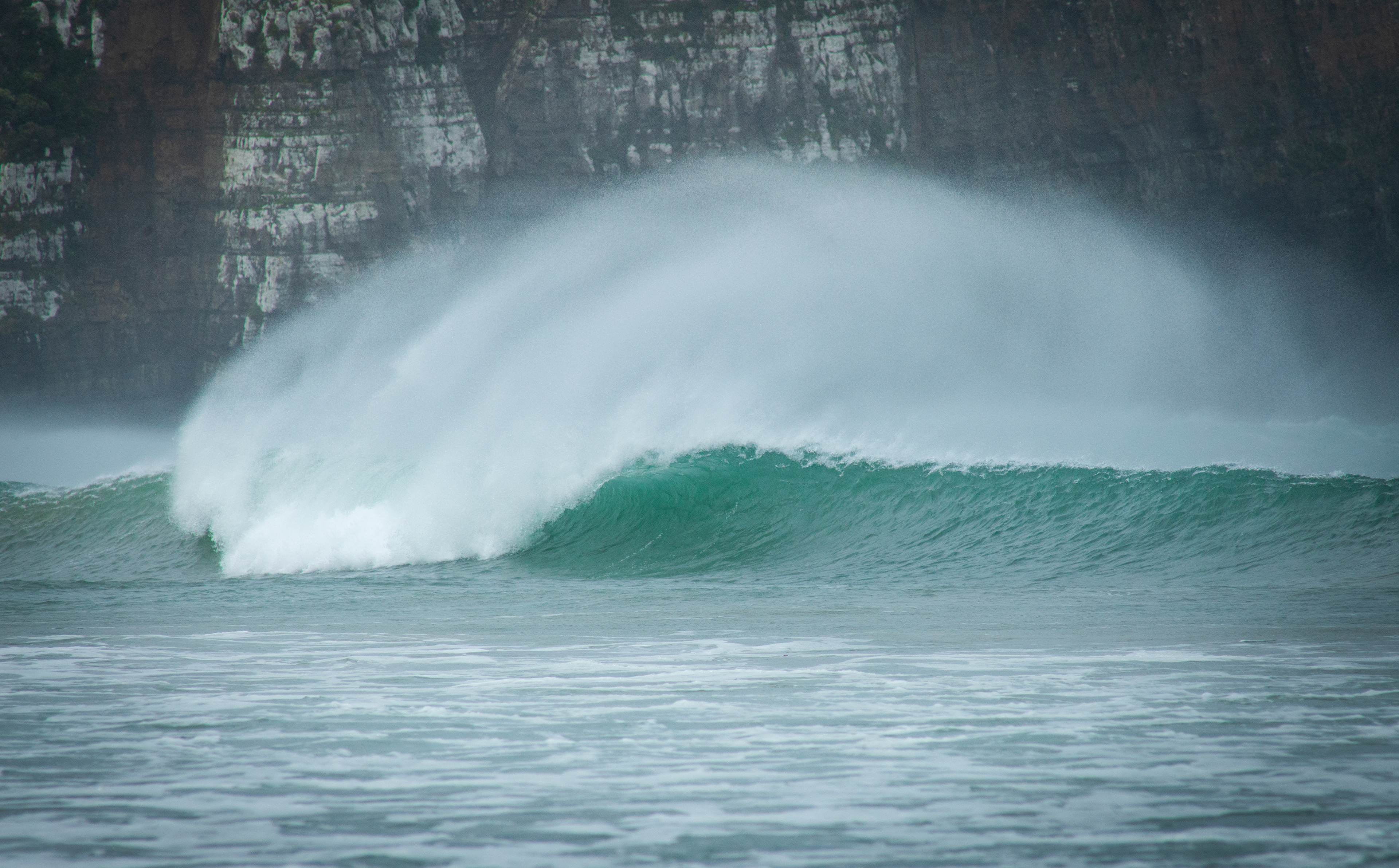 Surf n Spray; - Jack's Bay; Catlins