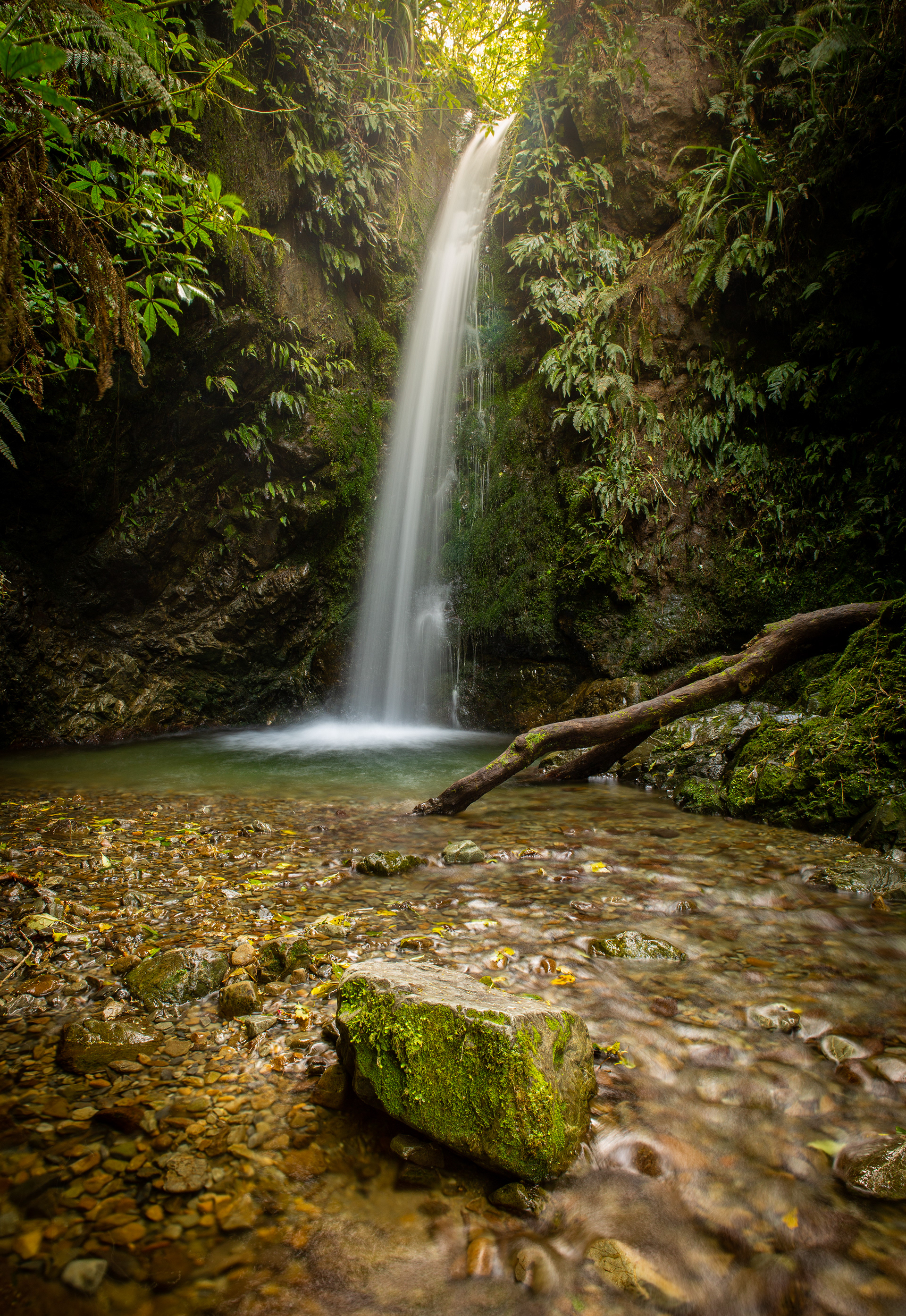 Emily Falls - Peel Forest; Canterbury