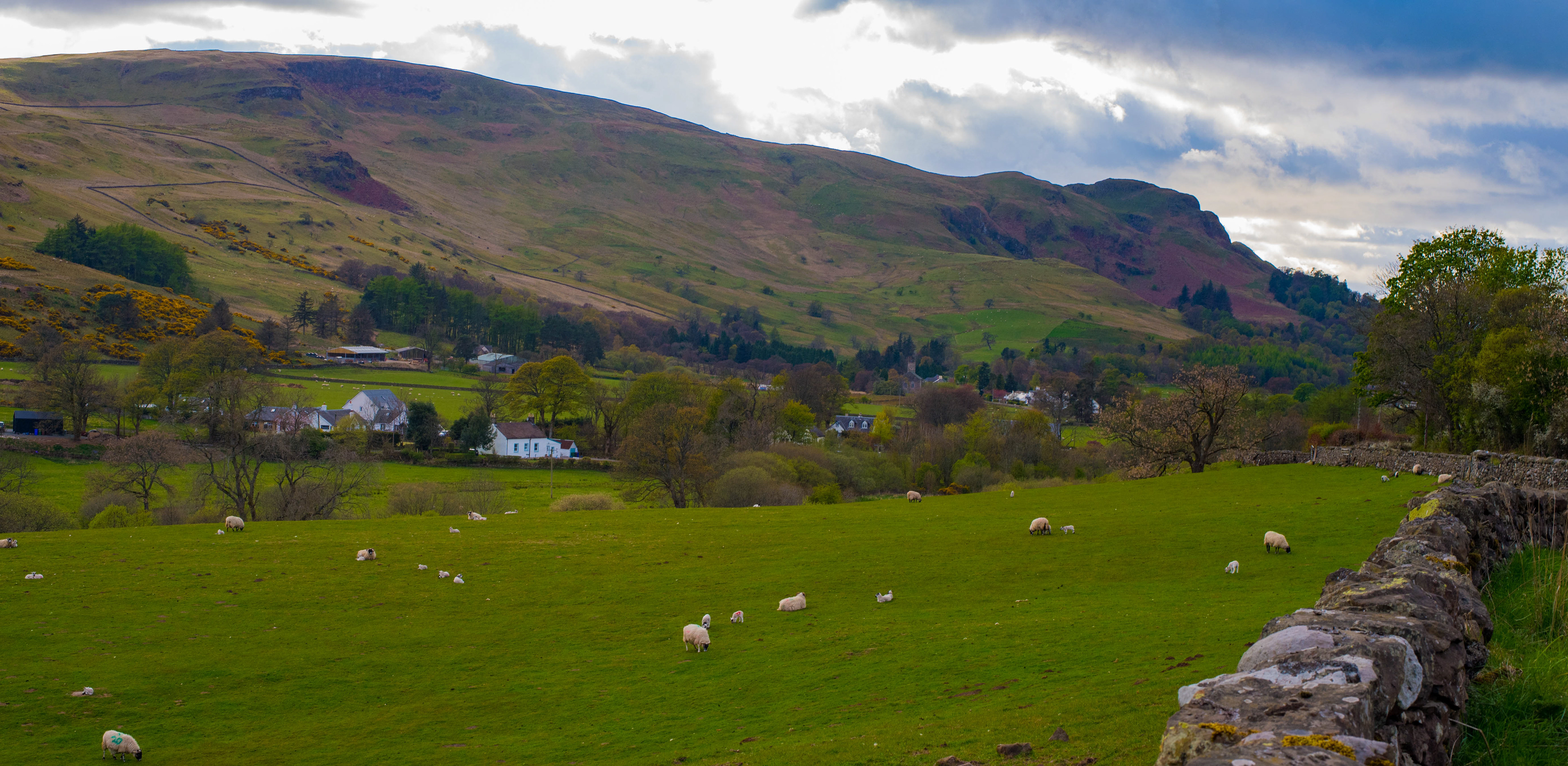 Ian McGregor - The Campsie Hills near Glasgow, Scotland