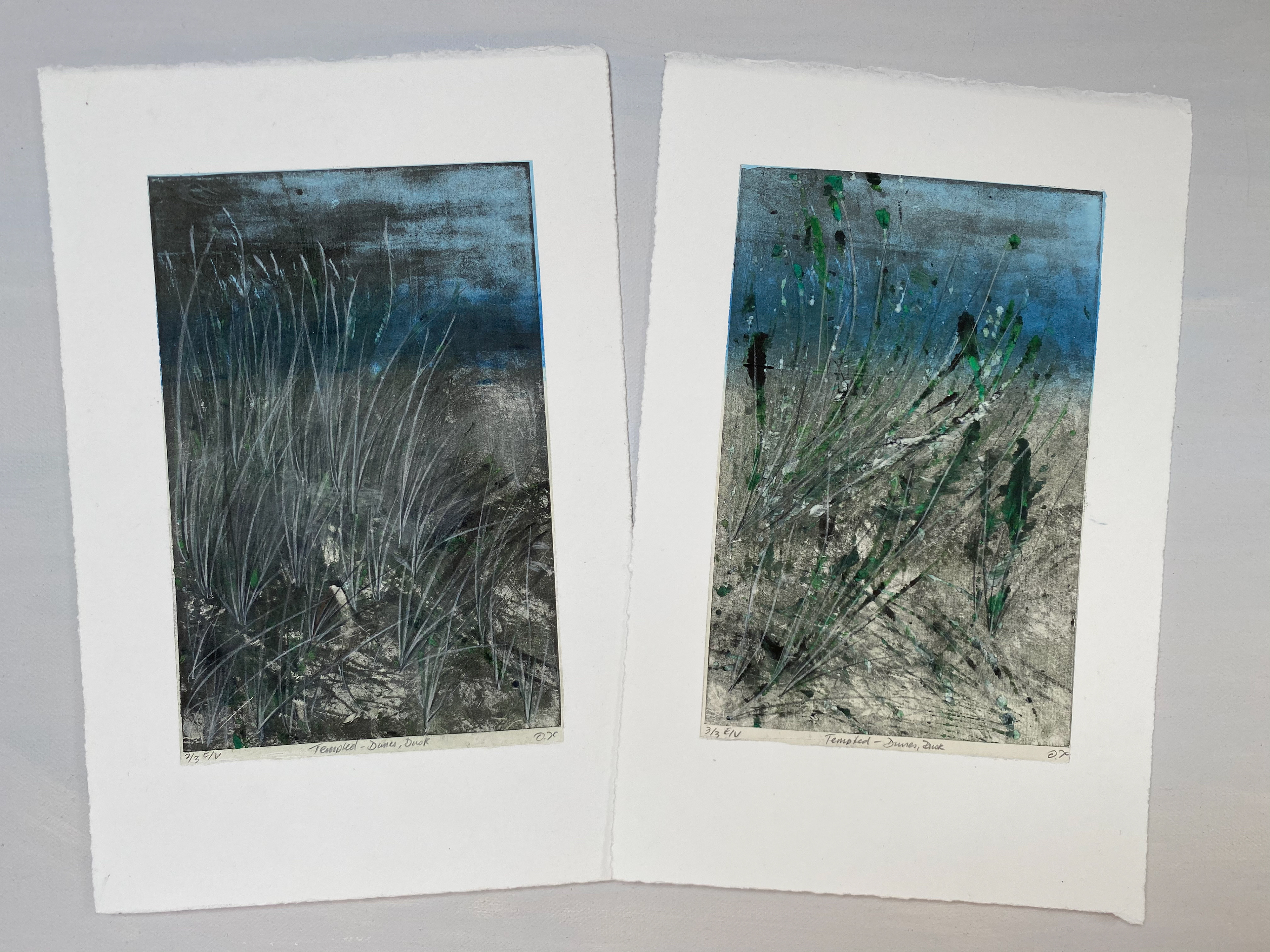 Prints 2 & 3
