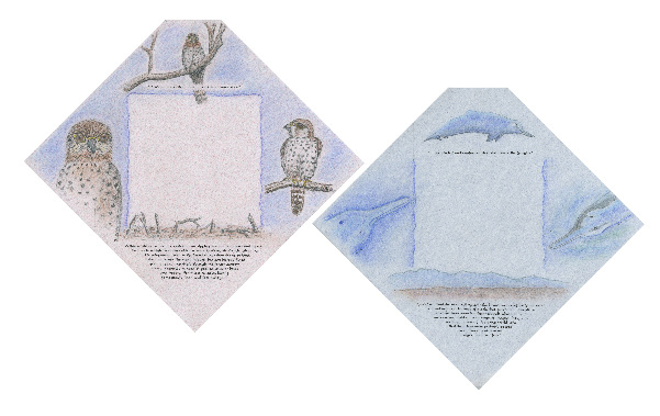 Illustration and stationery design