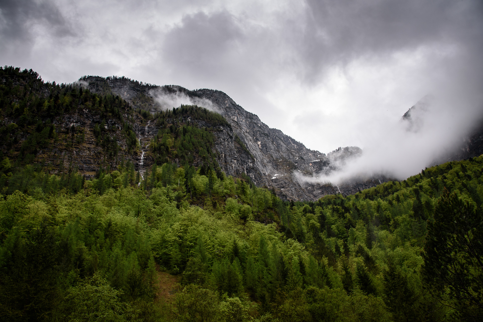 Misty Mountain, Austria