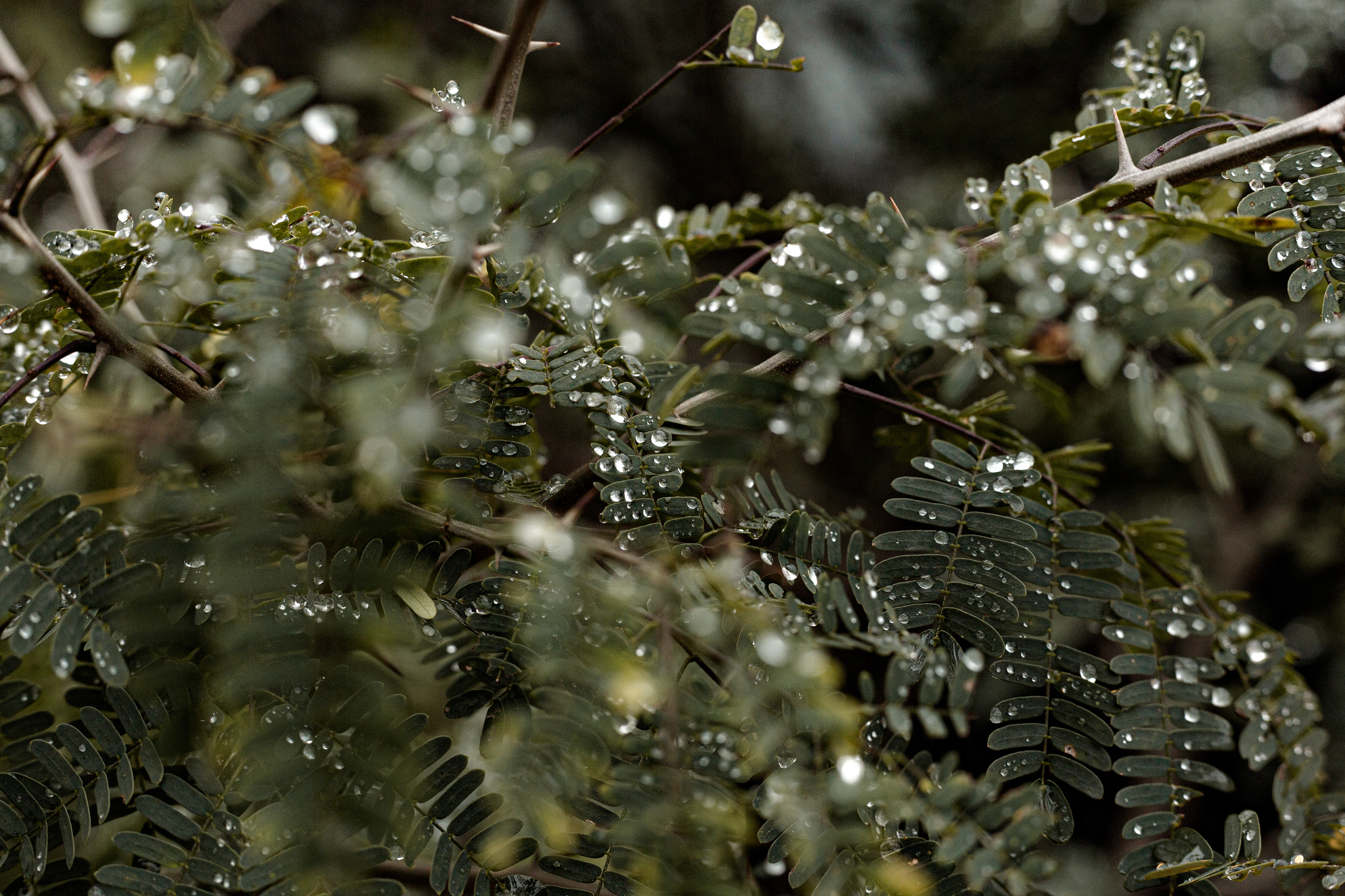 The After Effect | 2019