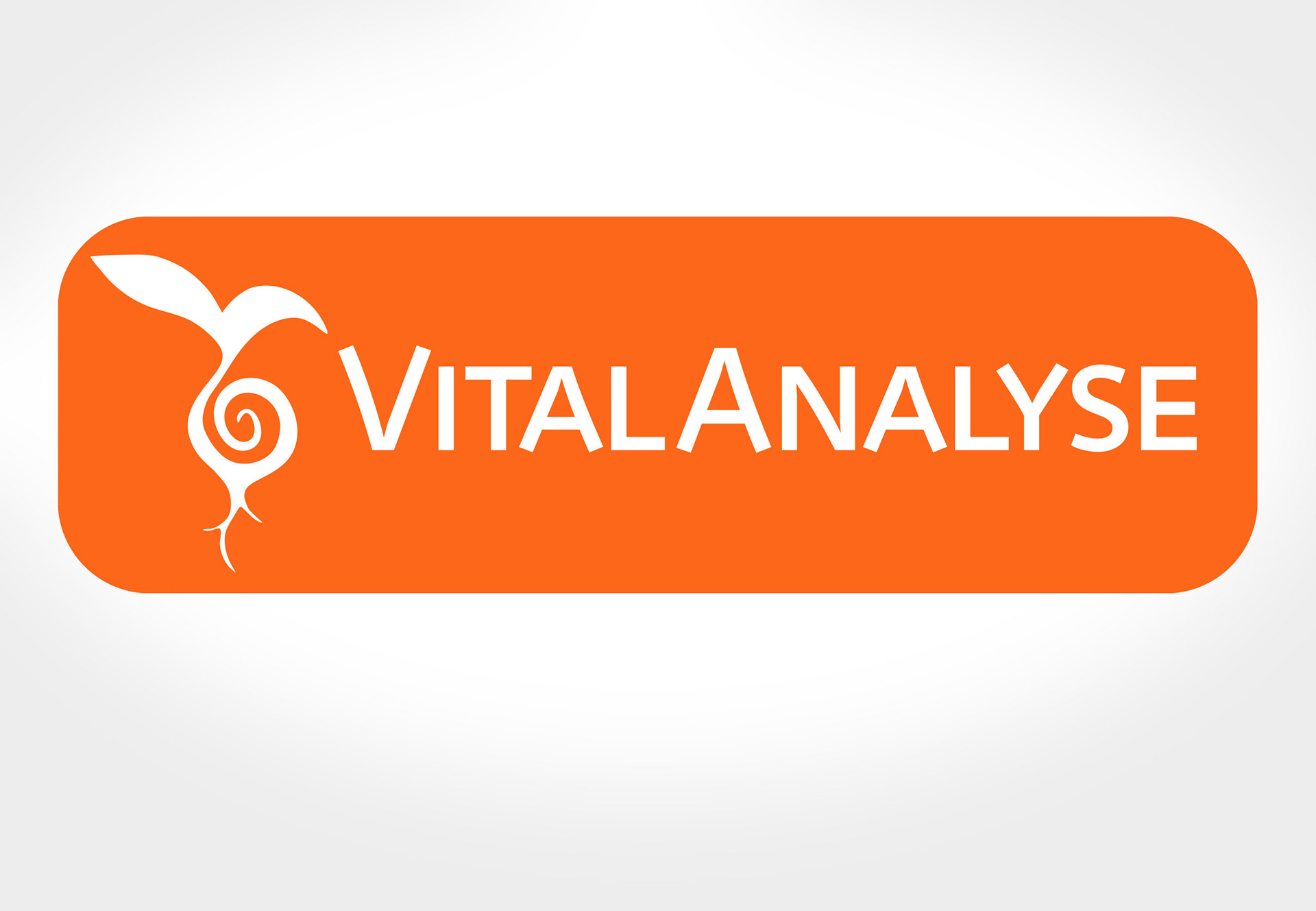 Logotype development for land use consultancy