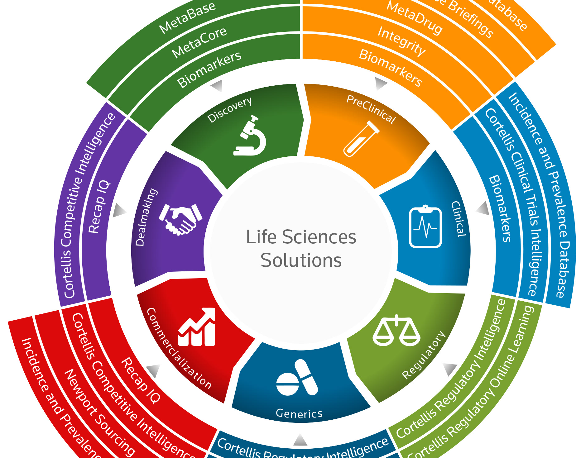 Sónia Teixeira - Life Sciences Overview Infographic