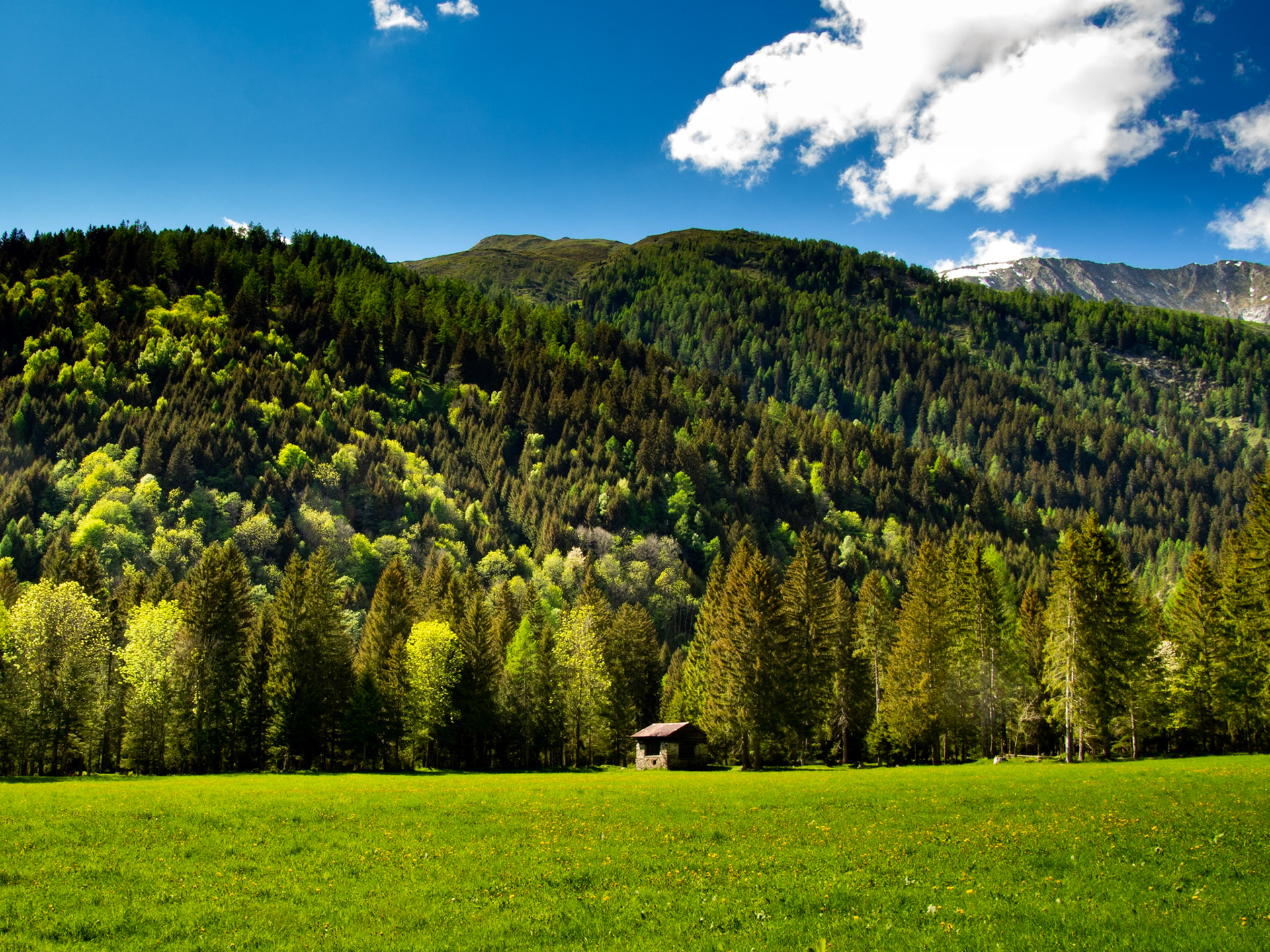 Spring foliage at Campo Blenio, TI, Switzerland