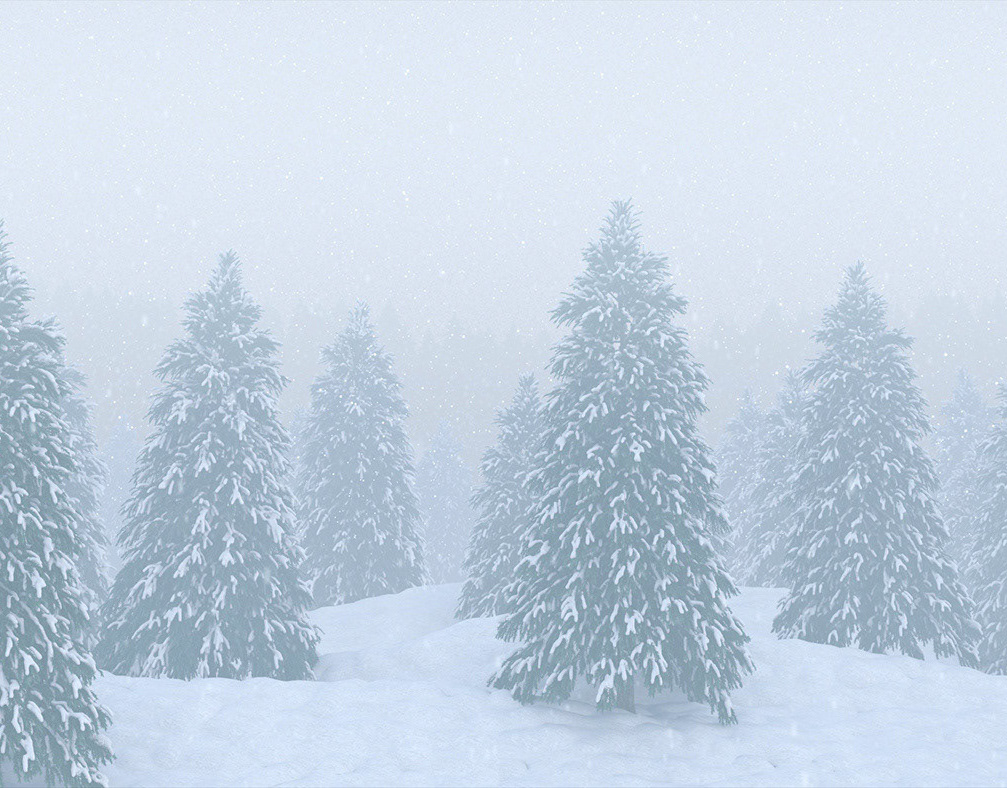 Michael Szabo | Animation // Digital Art - 3D // Forester Snow Scene