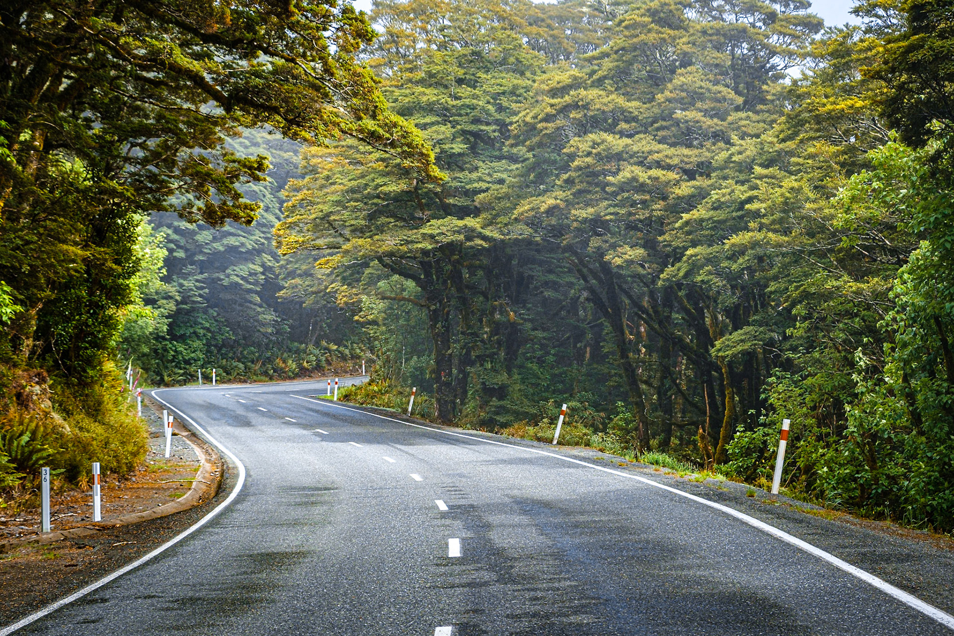 on the way to milford sound