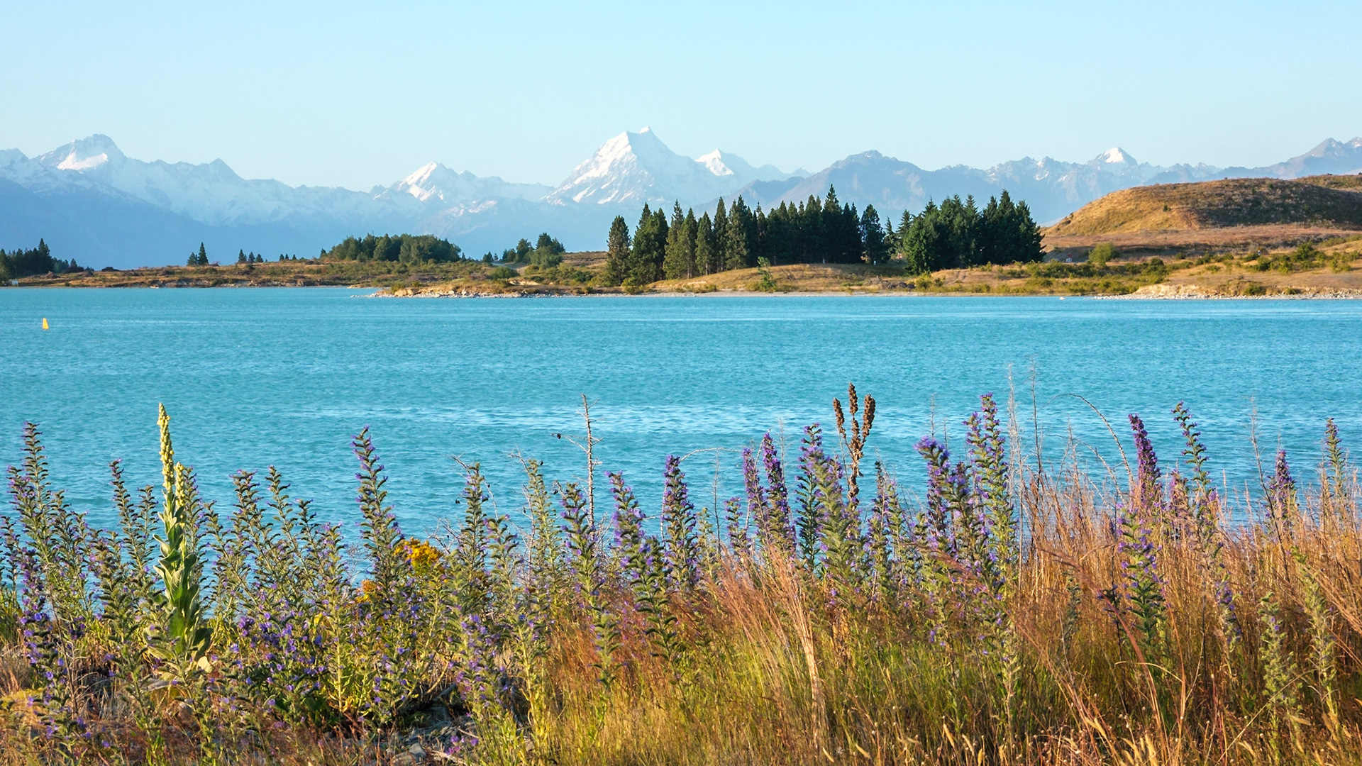 lake pukaki