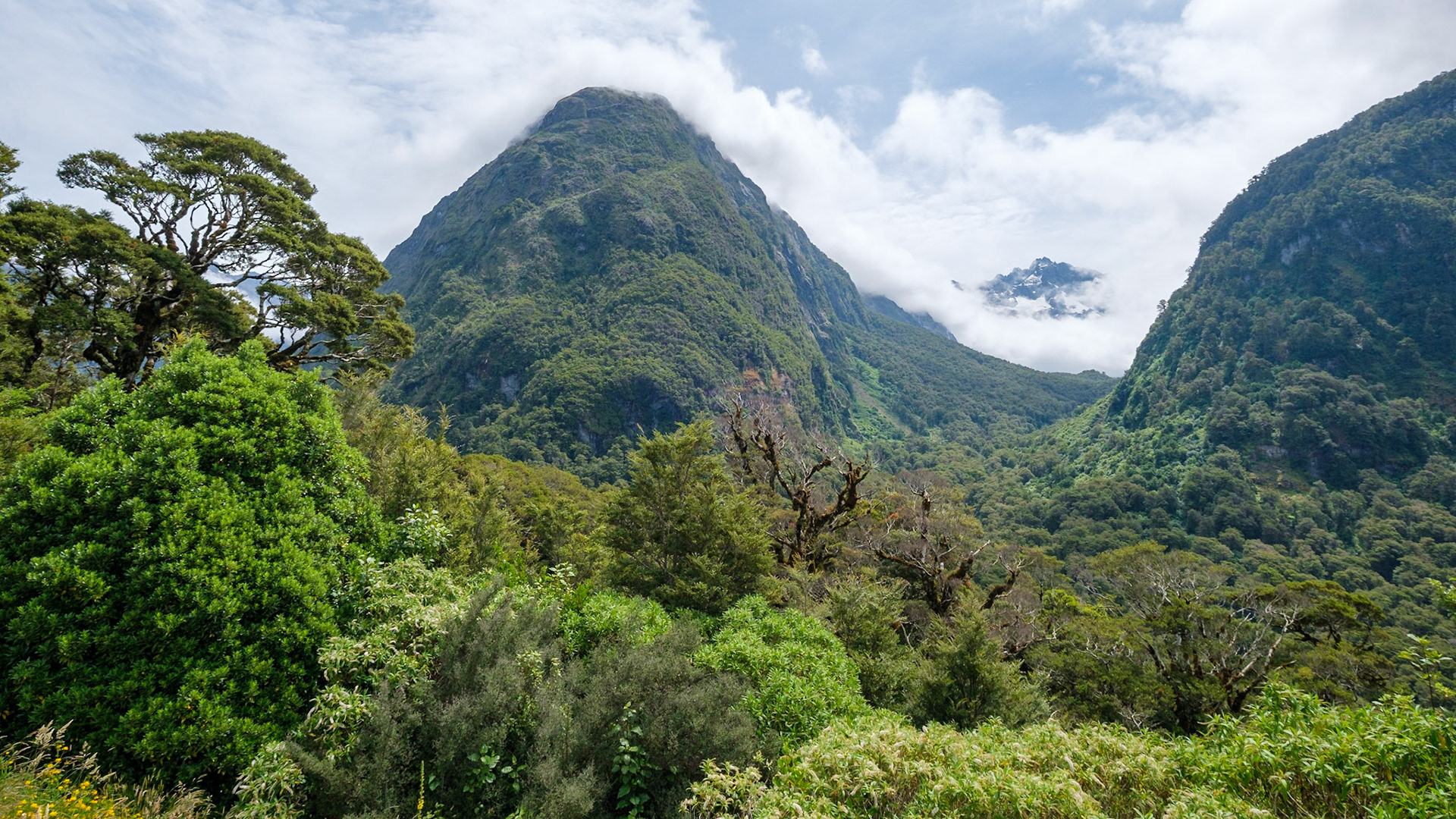 on the way to milford sound