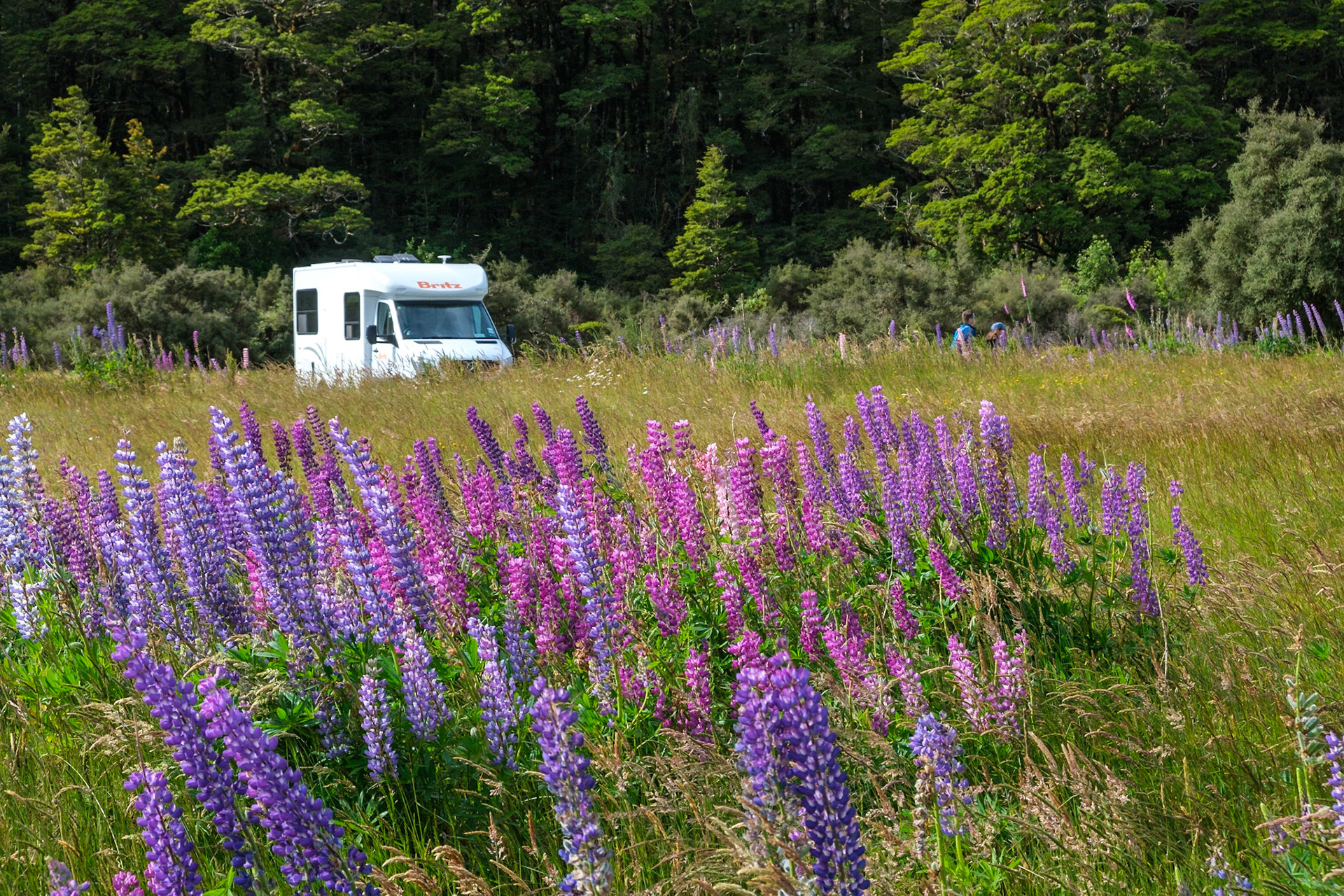 freedom camping cascade creek