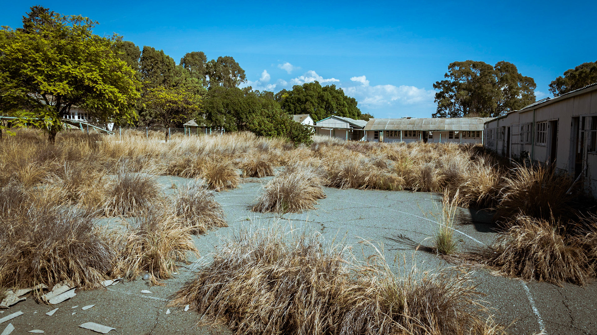 Nature reclaimed the basketball field, near the abandoned classrooms at Berengaria Village in Limassol, Cyprus
