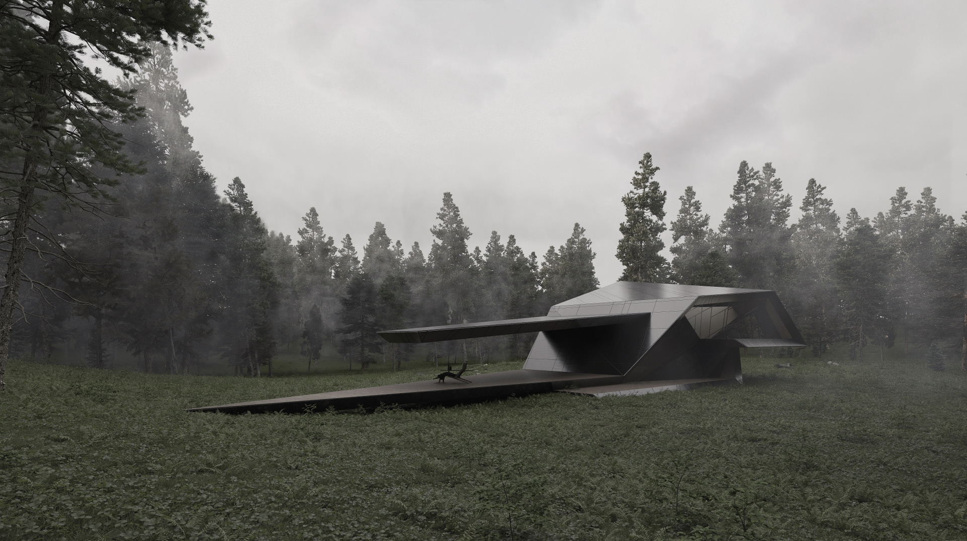 blackbird - exterior of dark side of the house sitting in the forest