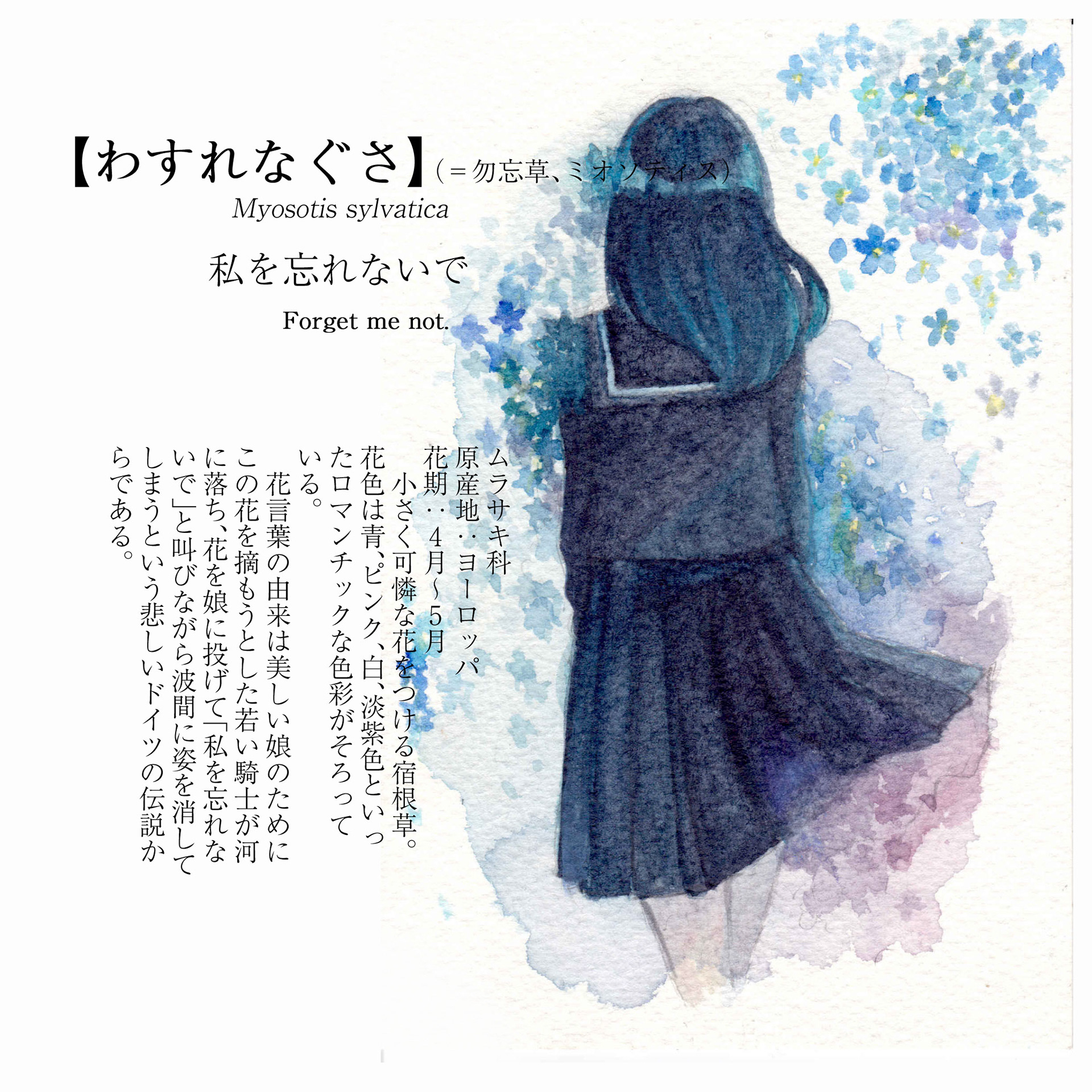 わすれなぐさ