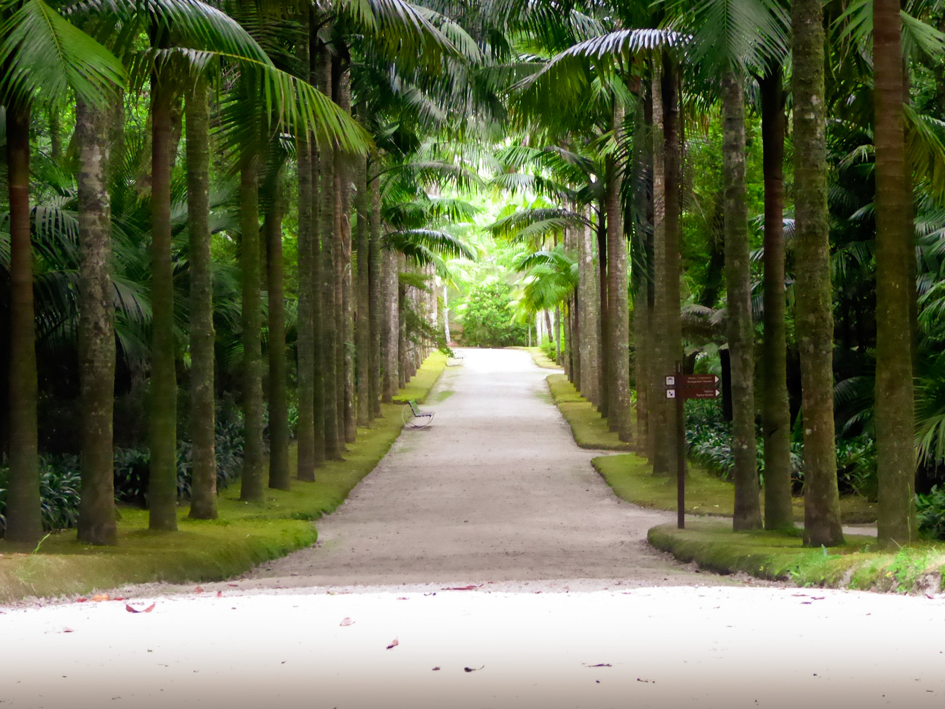 Terra Nostra Garden - Furnas São Miguel - Azores - June 2018
