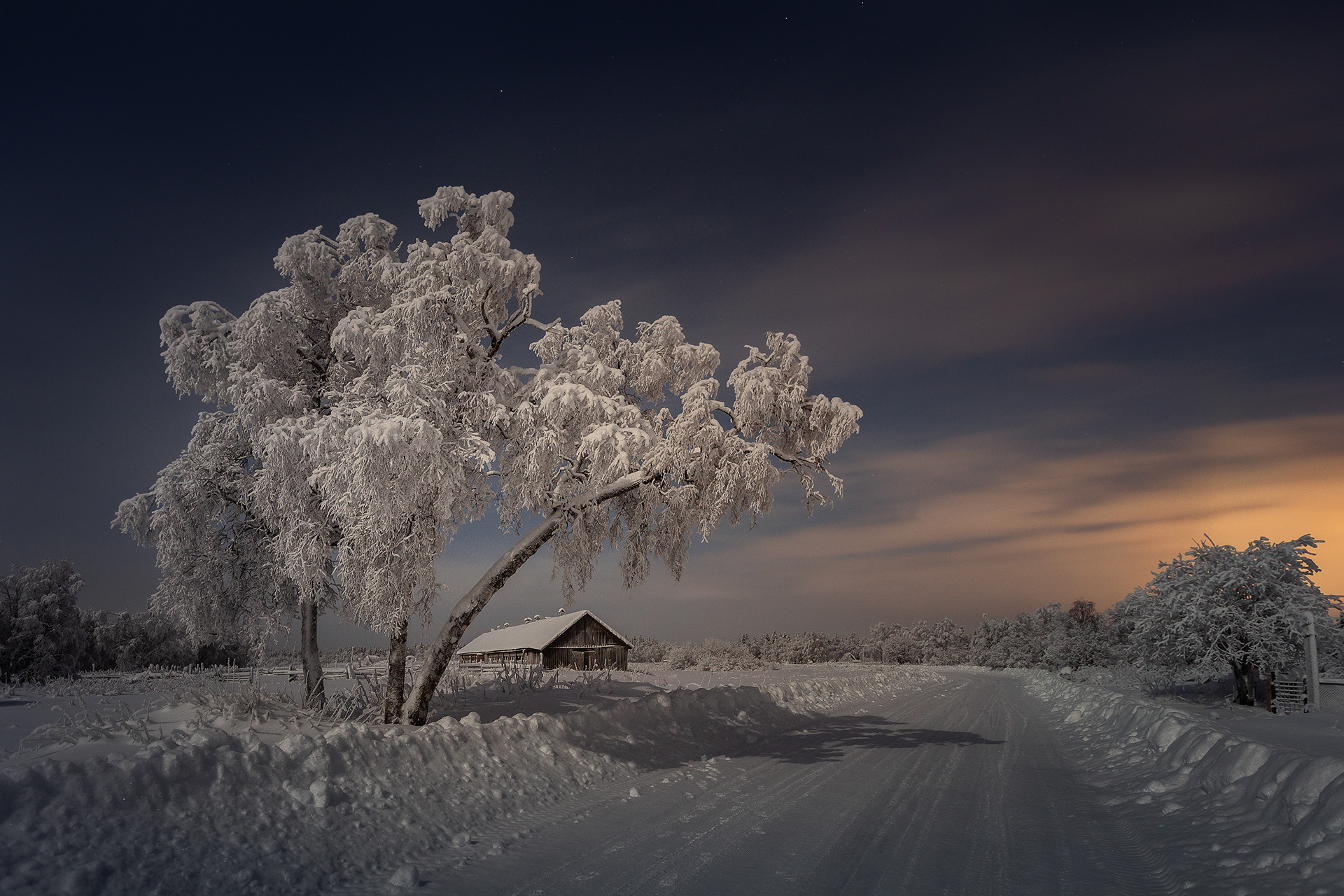 Иней на деревьях вечером. Деревья в инее фото ночью. Деревья в инее ночью. Деревья в инее фото ночью. Деревья в инее ночью.