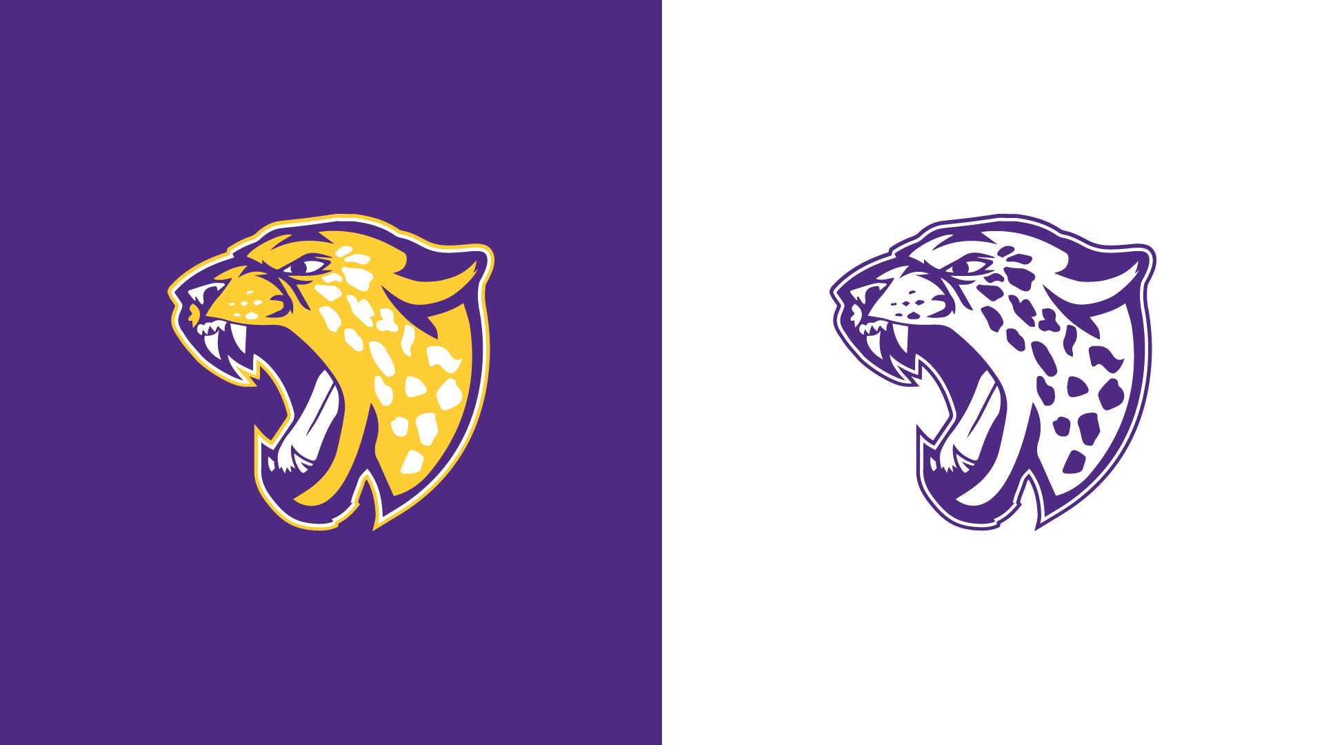 Jacksonville College has been known as the Jaguars for their sport teams. By creating a logo that represents the fierceness of the athletes, it brings more attention to the athletic side of the school.