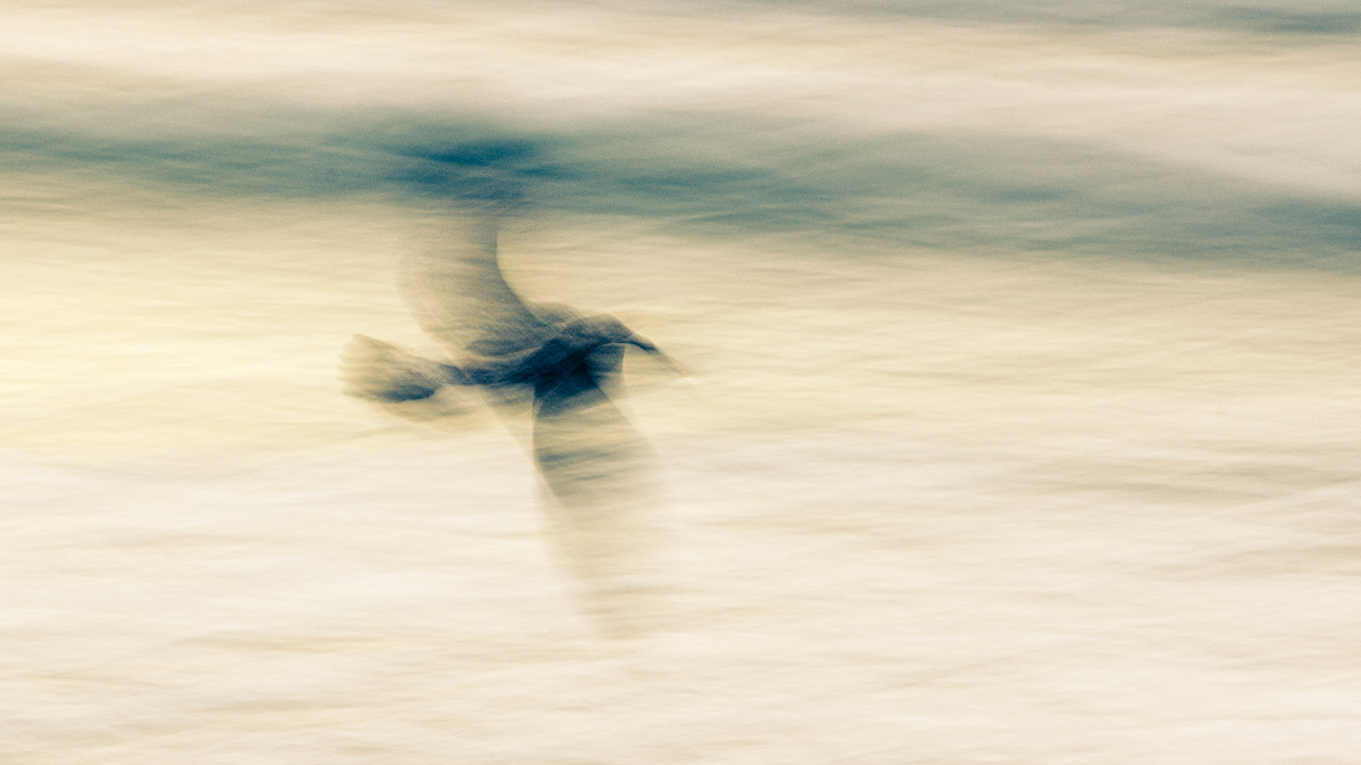 Busy, working, moving - Swartvlei, Sedgefield