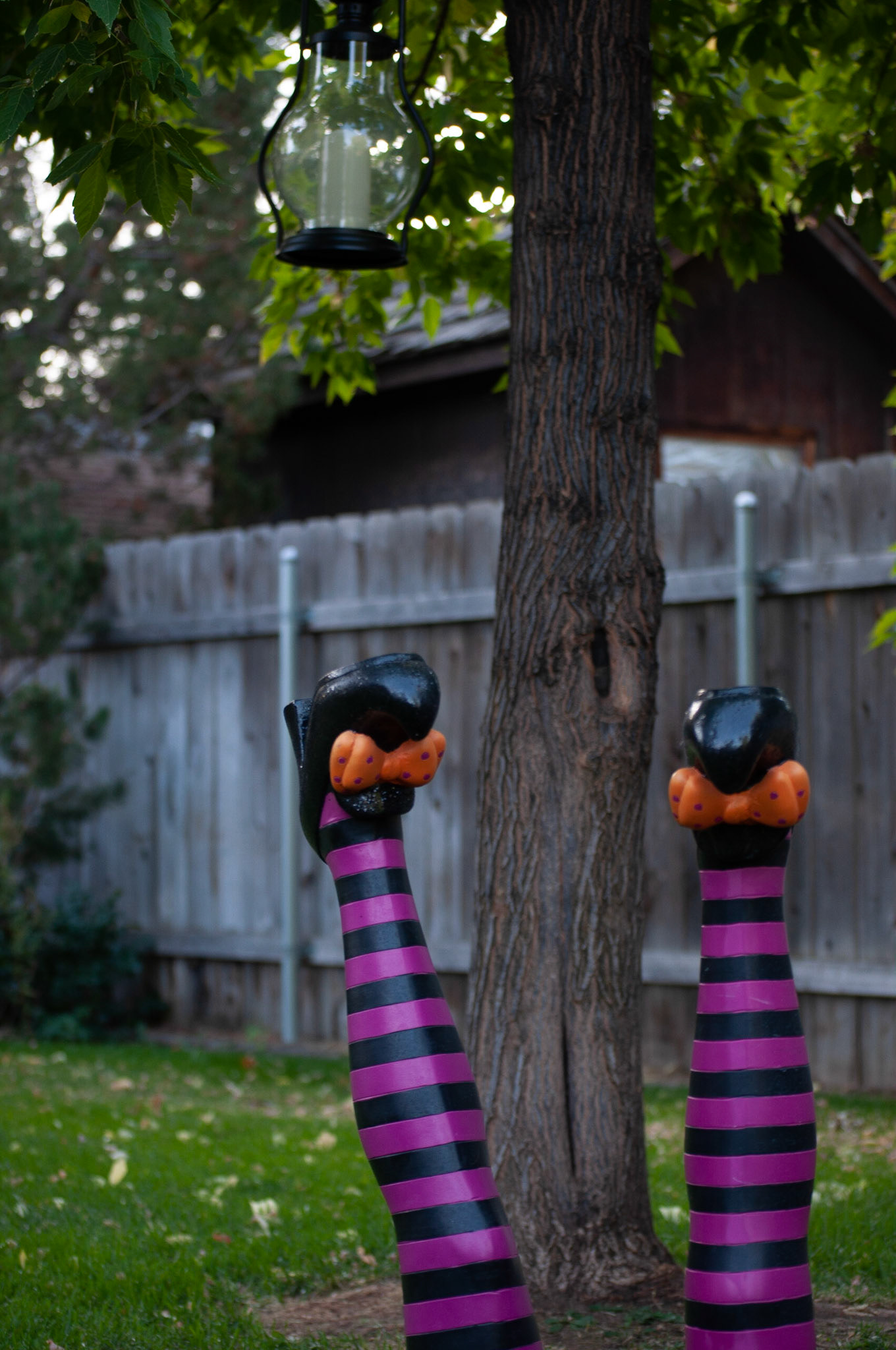 This was witch legs shot at 1/80s F4 and ISO 200, Still shot to show depth, 20200926, Backyard, Miller, This was close shot to my favorite outcome when adjusting my ISO/F/Shutter speed. I continued to adjust to see what changed in the photograph. Camera Settings: Nikon D500, ISO 200, 55mm, f/4, 1/80s