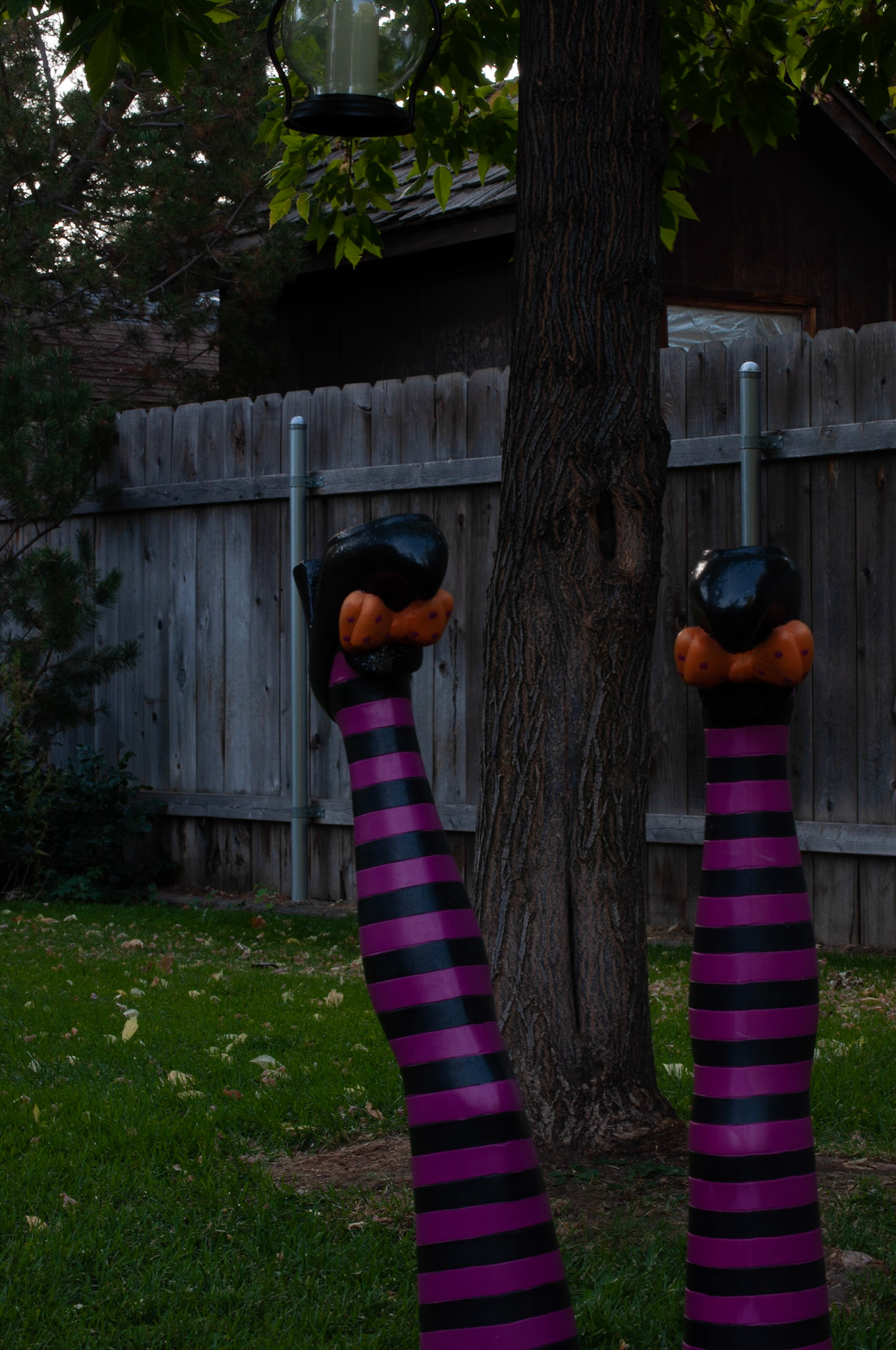 This was witch legs shot at 1/15s F16 and ISO 200, Still shot to show depth, 20200926, Backyard, Miller, I liked this setting, however it was on the darker side of what I wanted to show. I continued to adjust to see what changed in the photograph. Camera Settings: Nikon D500, ISO 200, 55mm, f/16, 1/15s