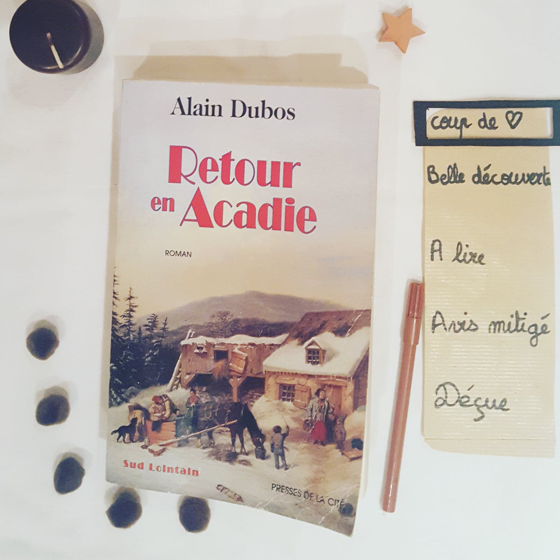 J'en aurais oublié de manger, dormir, travailler tellement ce roman m'a hypnotisée. Dès le départ, je me suis ennivrée de ce récit si bien décrit. Il n'y a pas besoin de lire le tome 1 pour comprendre, un arbre généalogique permet au lecteur de se repérer dans le début de sa lecture. Je me suis énormément attachée aux personnages et j'ai adoré le décor. J'ai récemment eu un cours et un colloque sur la colonisation du Canada, ce fut donc un plaisir de retrouver des traces historiques dans ce roman bouleversant. Savoir que ces histoires ont réellement pu exister, qu'il y a quelques siècles les colons français sur les terres d'Accadie se sont retrouvés ainsi déshumanisés, m'a heurtée de plein fouet. Le style d'Alain Dubos est vraiment plaisant. Les mots trouvent leur sens naturellement, les chapitres ne sont ni trop longs, ni trop courts. Qu'il est difficile de se plonger dans un autre roman quand on regrette de fermer un tel chef d'oeuvre.