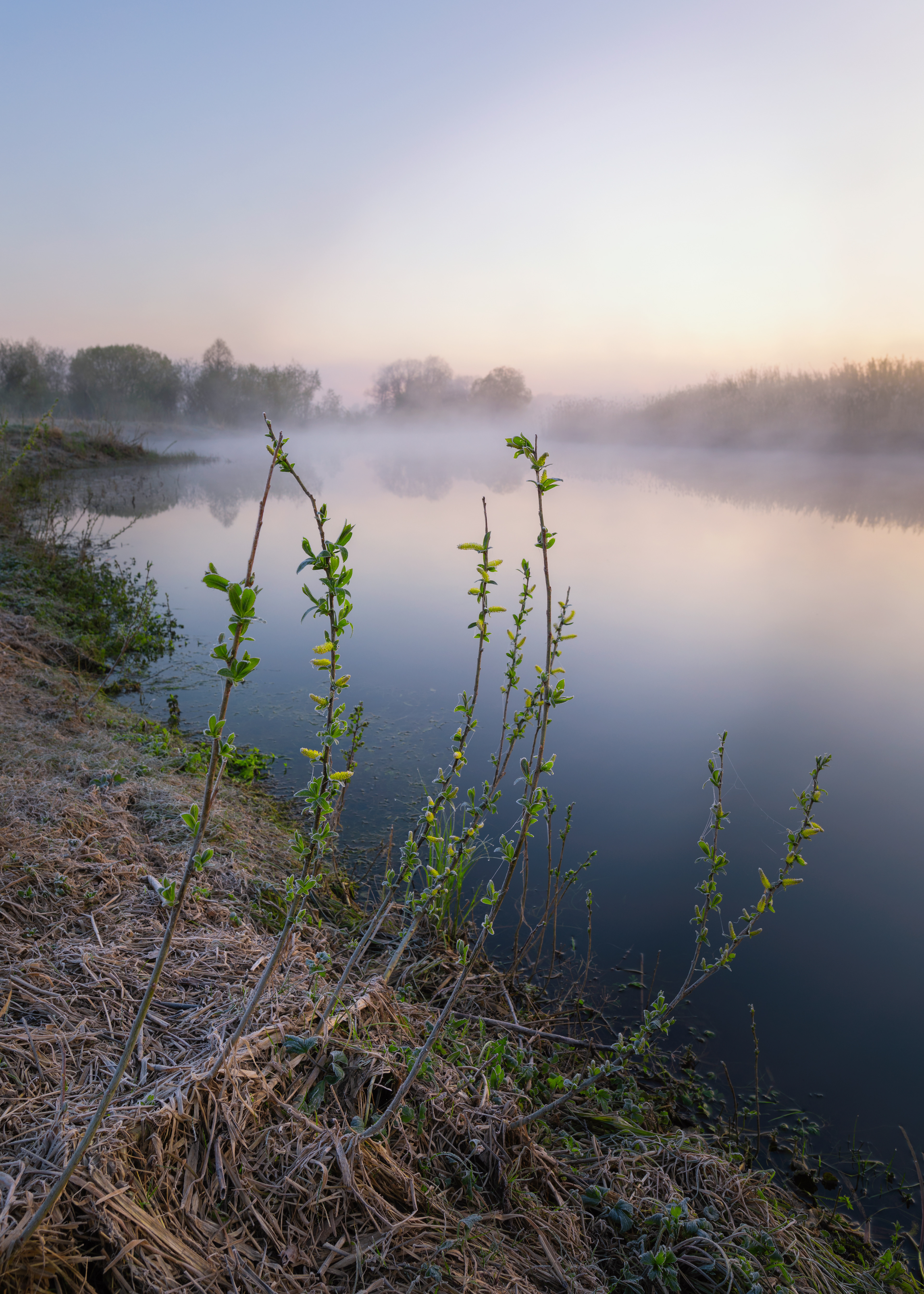 Foggy sunrise
