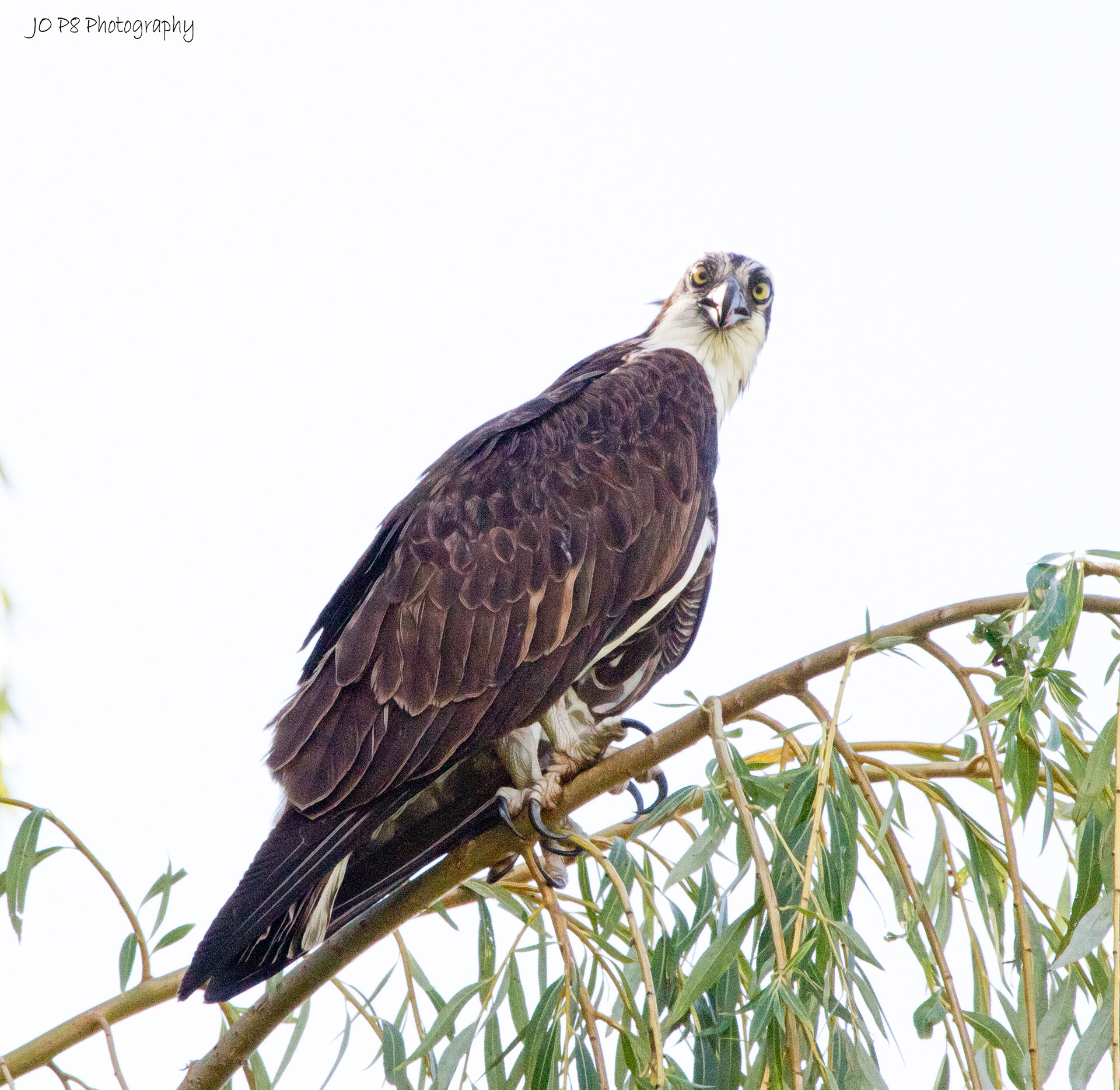 What are you looking at