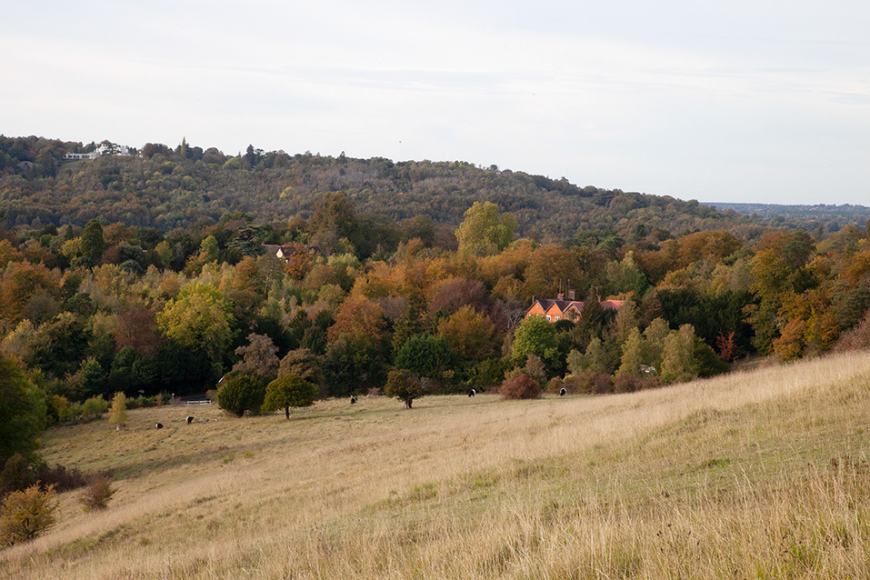 #3778 | Boxhill