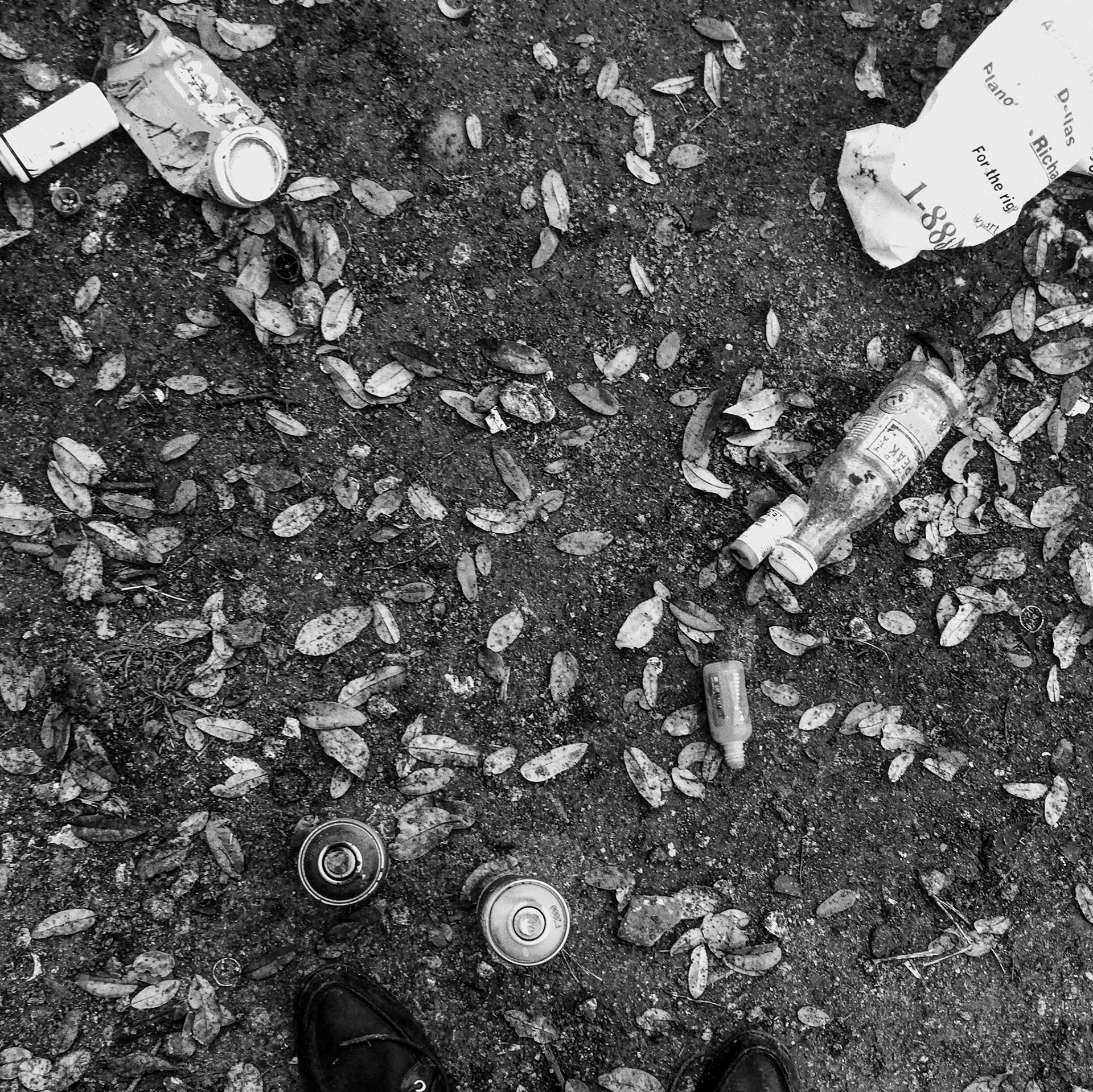 Processed with VSCOcam with g3 preset