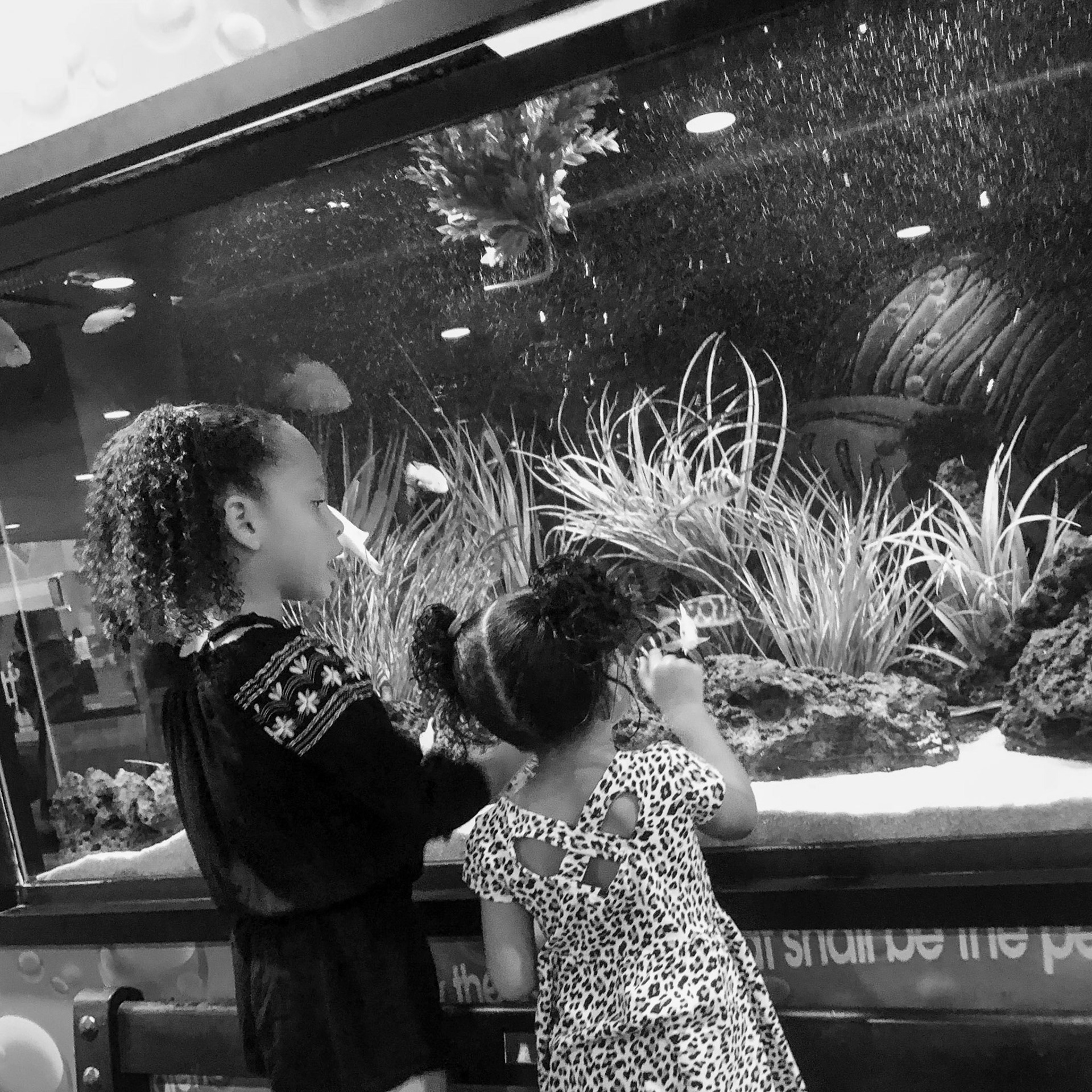 Processed with VSCO with c1 preset