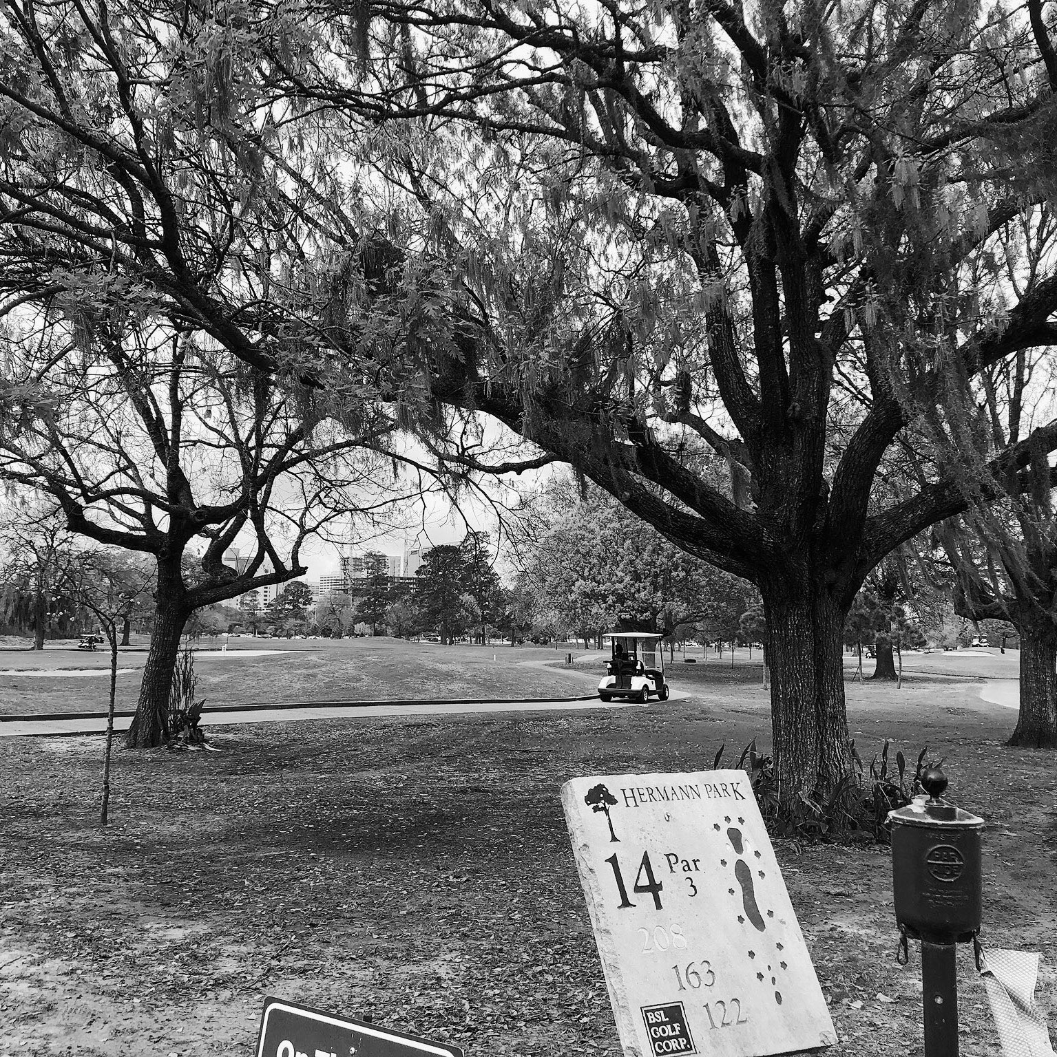 Processed with VSCO with g3 preset