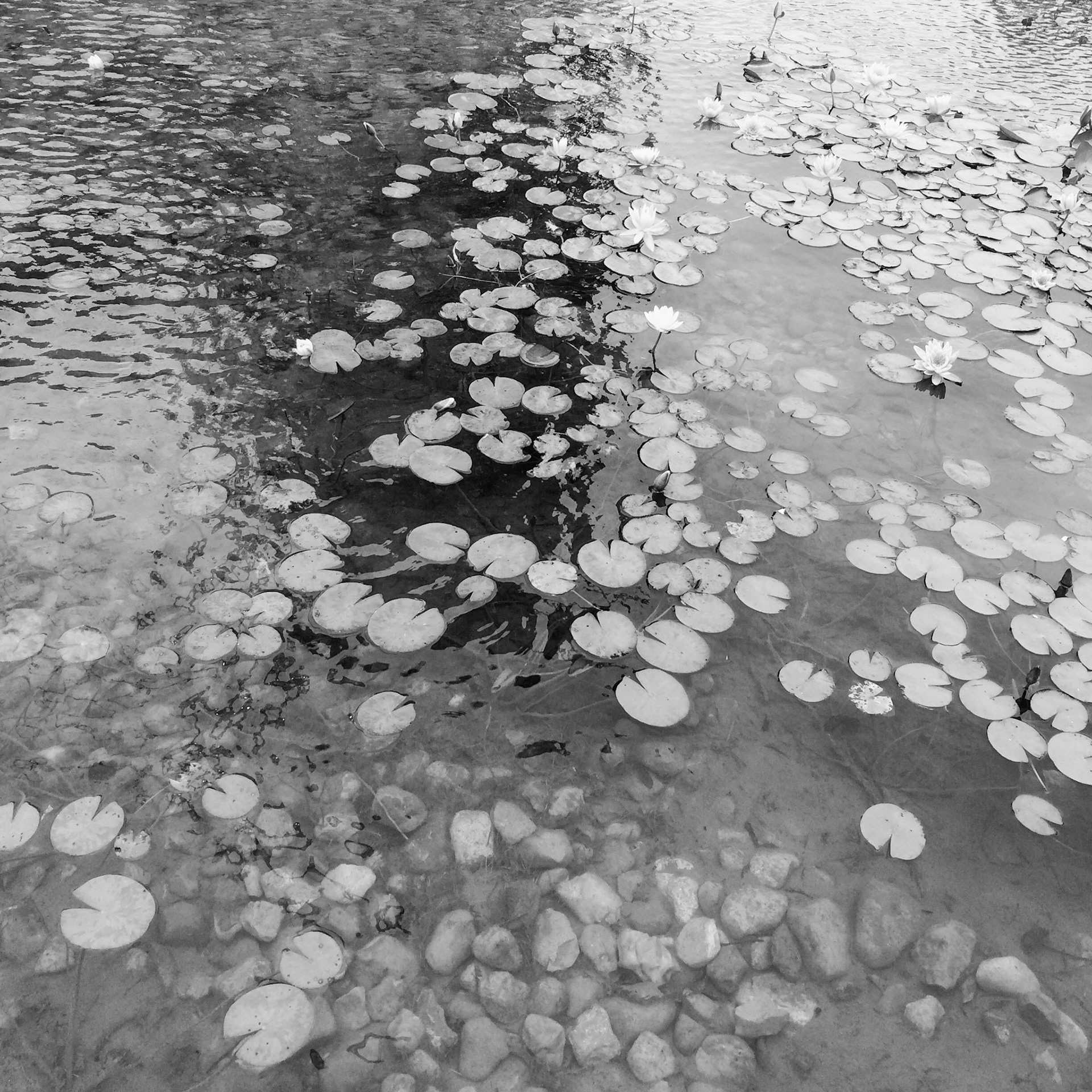 Processed with VSCO with c1 preset