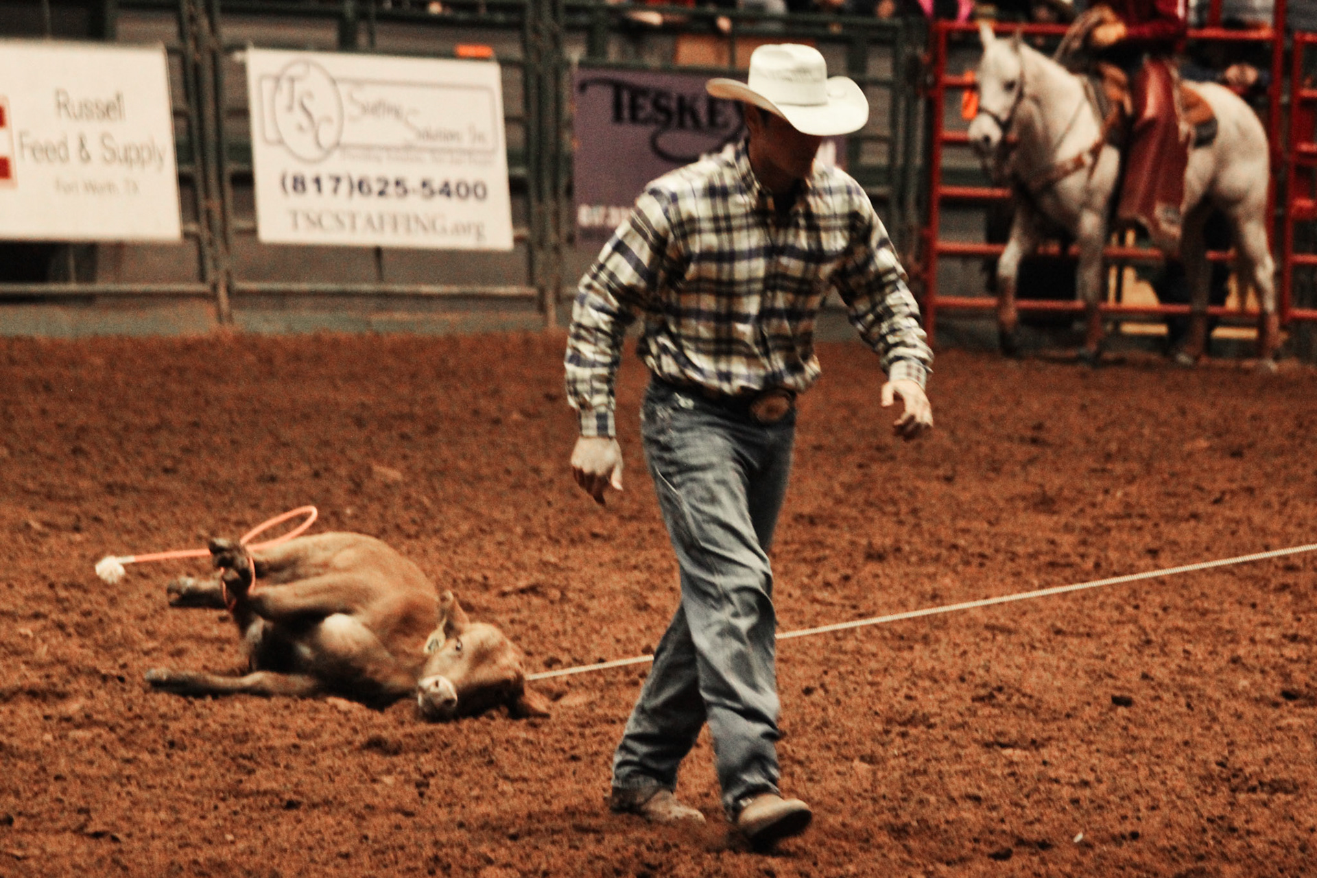 callous - Dallas@2013