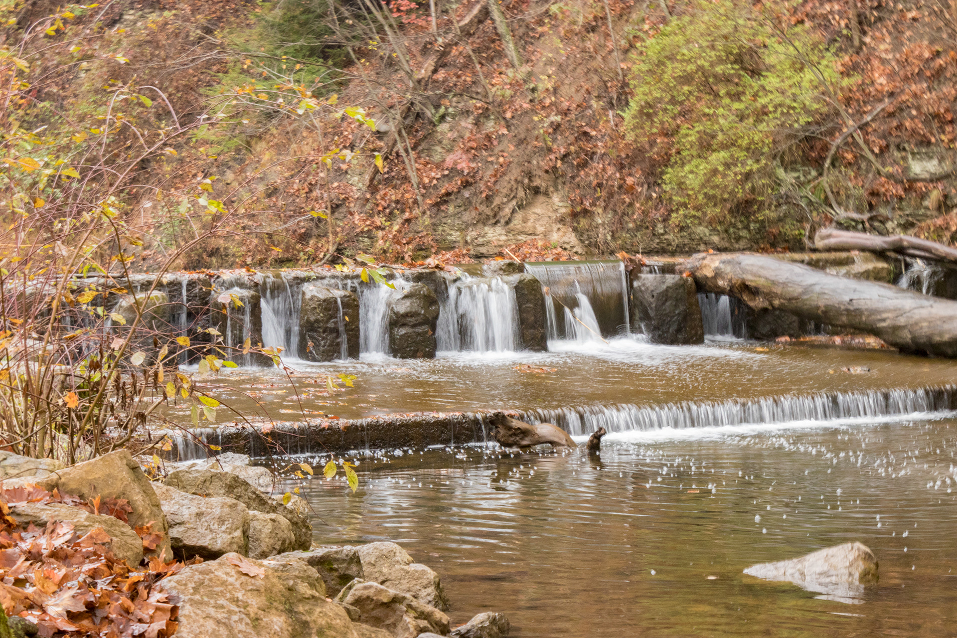 HDIC Productions Portfolio - Beaver Falls in Autumn