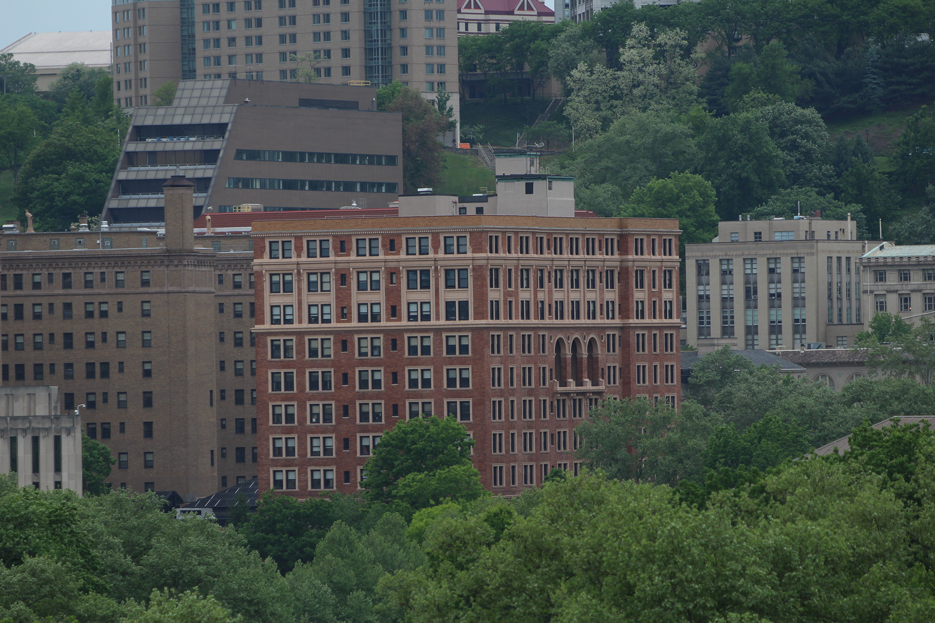 HDIC Productions Portfolio Schenley Park