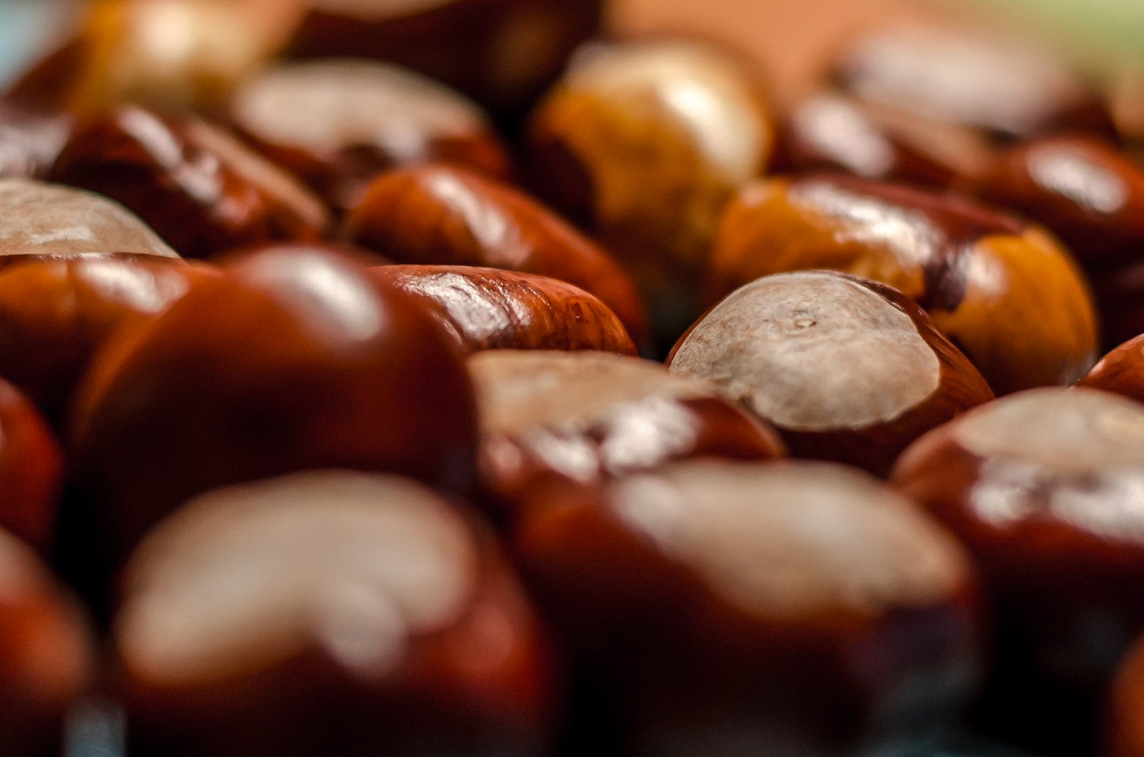 Meine Jahreszeit :-)