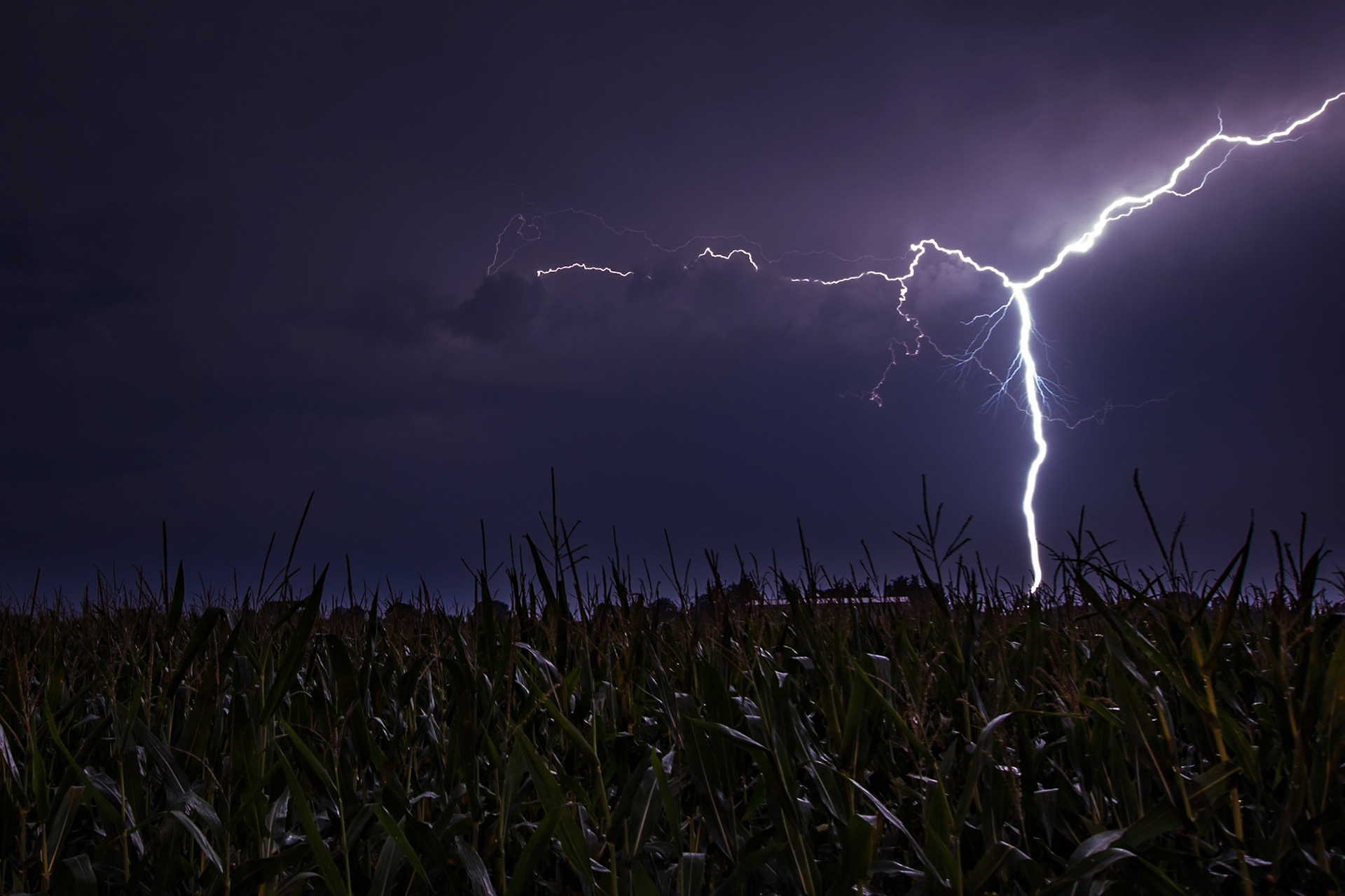 Gerade ist ein #Gewitter an uns vorbei gezogen, nachdem ich auf dem Heimweg vom #Eishockey war hab ich unterwegs einfach mal am Feld gehalten und die Kamera ausgepackt. Sehr schöner #Blitz!