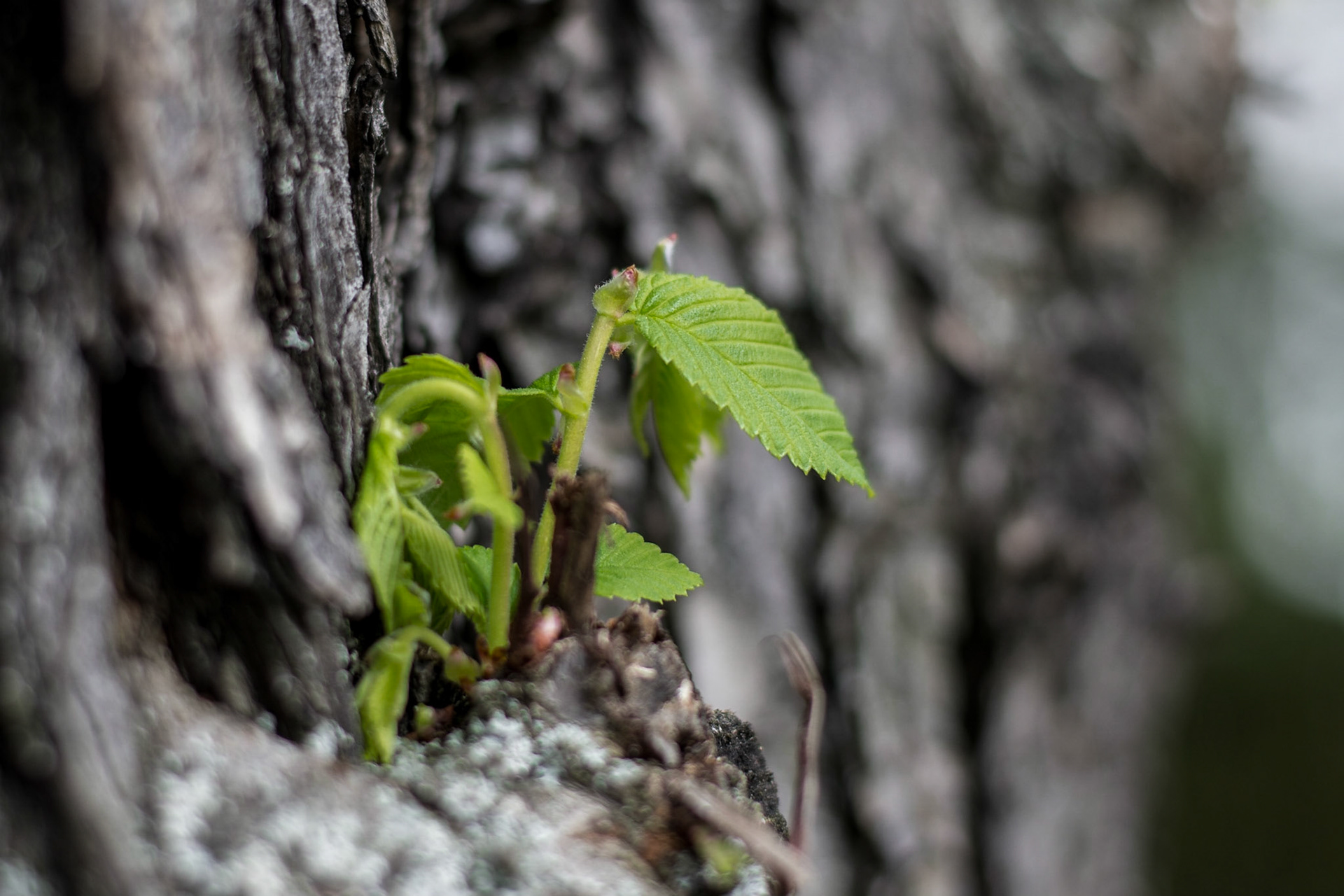 Beim Spatziergang durch den #Stadtpark vor ein paar Tagen entstanden