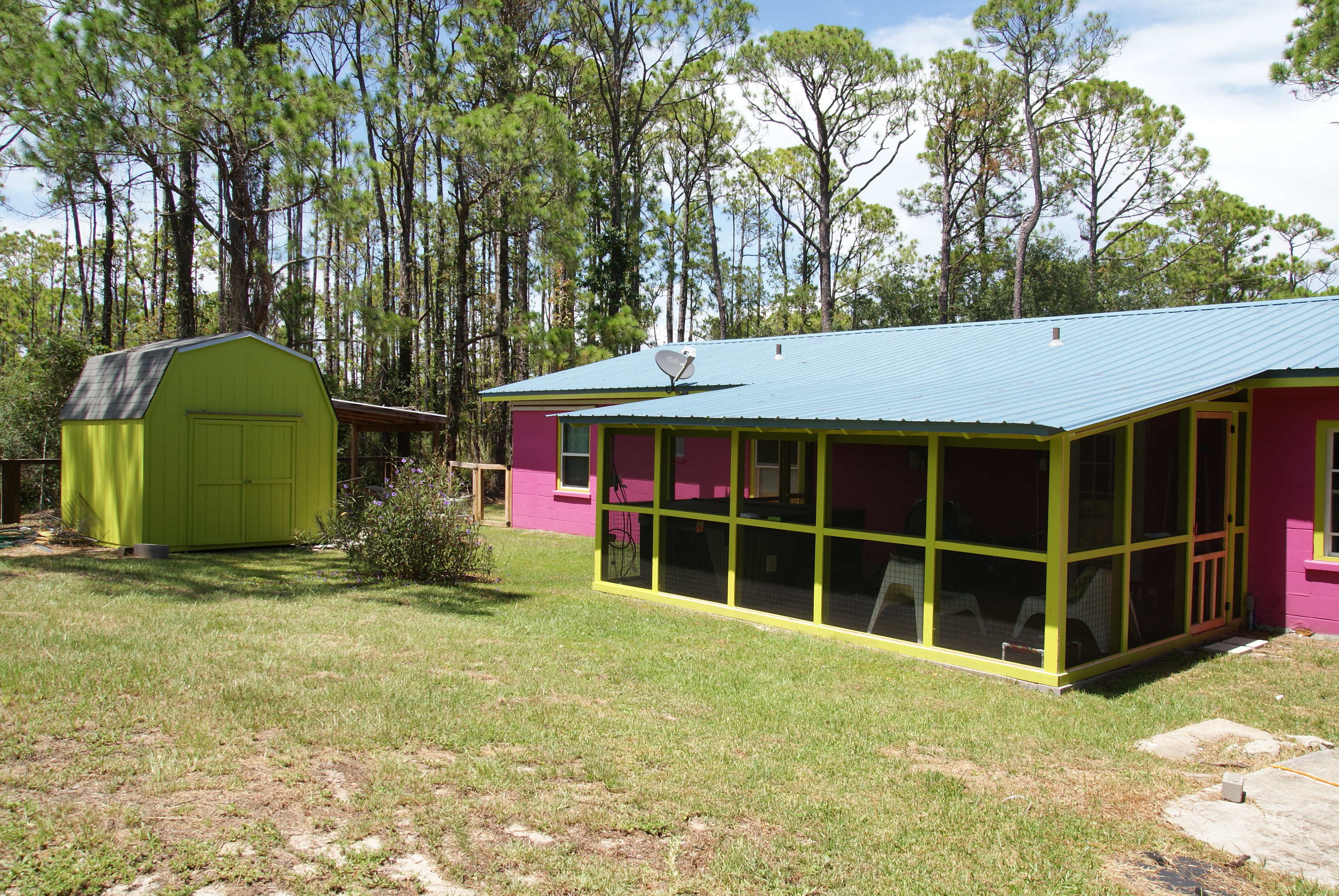Backyard, screened in porch and shed