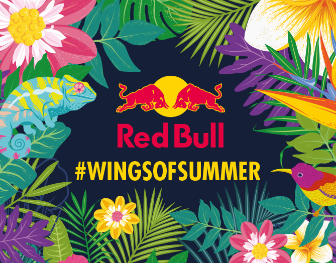 Cassandra Leigh Studio RED BULL Summer Launch Campaign