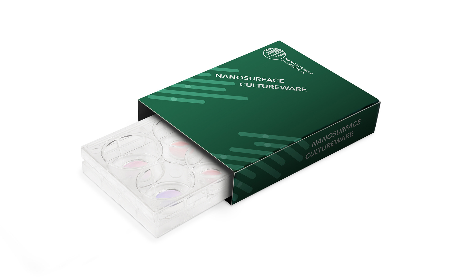 Photo Mockup of 6-Well Plate Inside Packaging