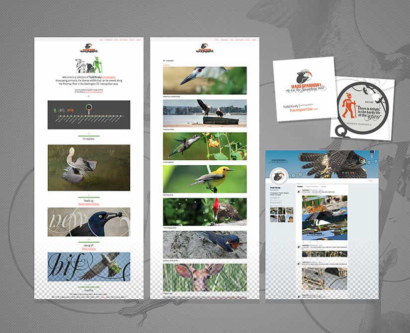 Nature photography website
