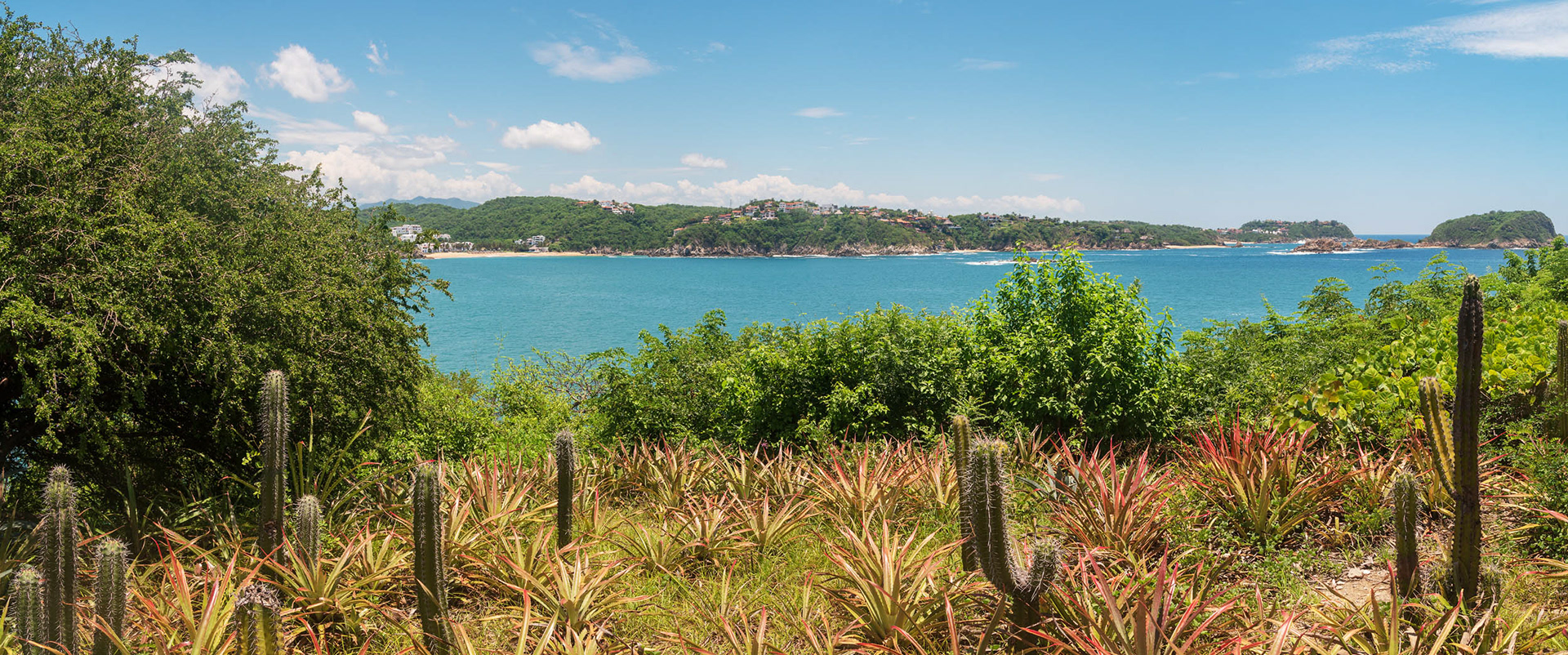 A panorama of the bay.