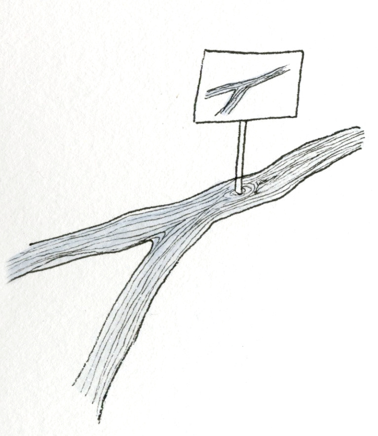 for Information, non-fiction text
