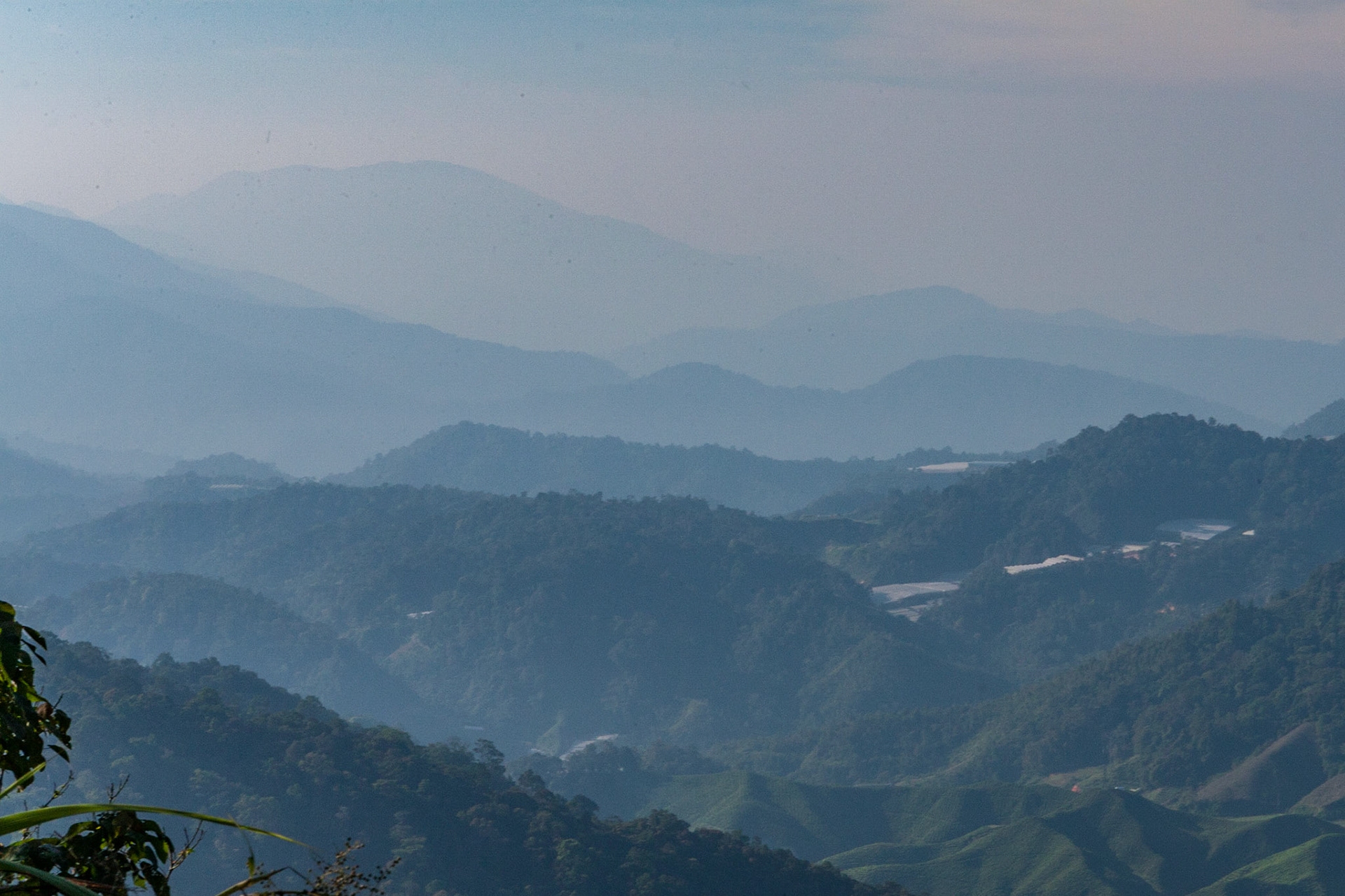 View from Jungle Trail 10 towards the south during the ascent to Gunung Jasar in the Cameron Highlands