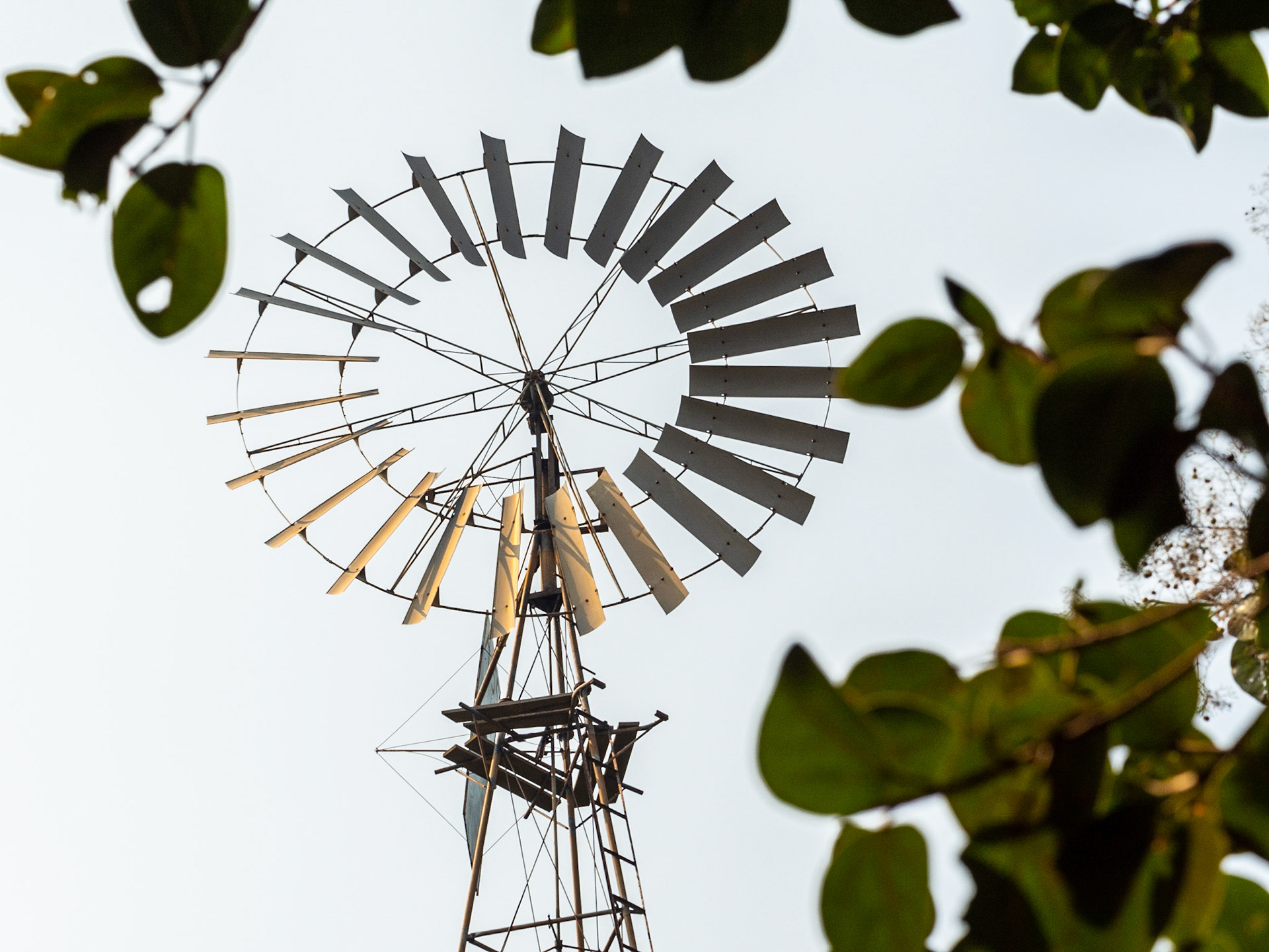 It rises from a farm like a phoenix. It creaks, it groans, but it turns fiercely... spinning wind into electricity, to drive a flour mill that feeds an entire village.