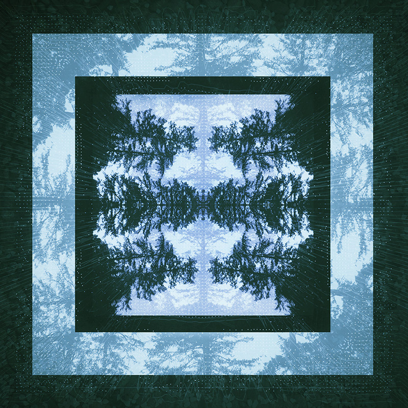 Canopy