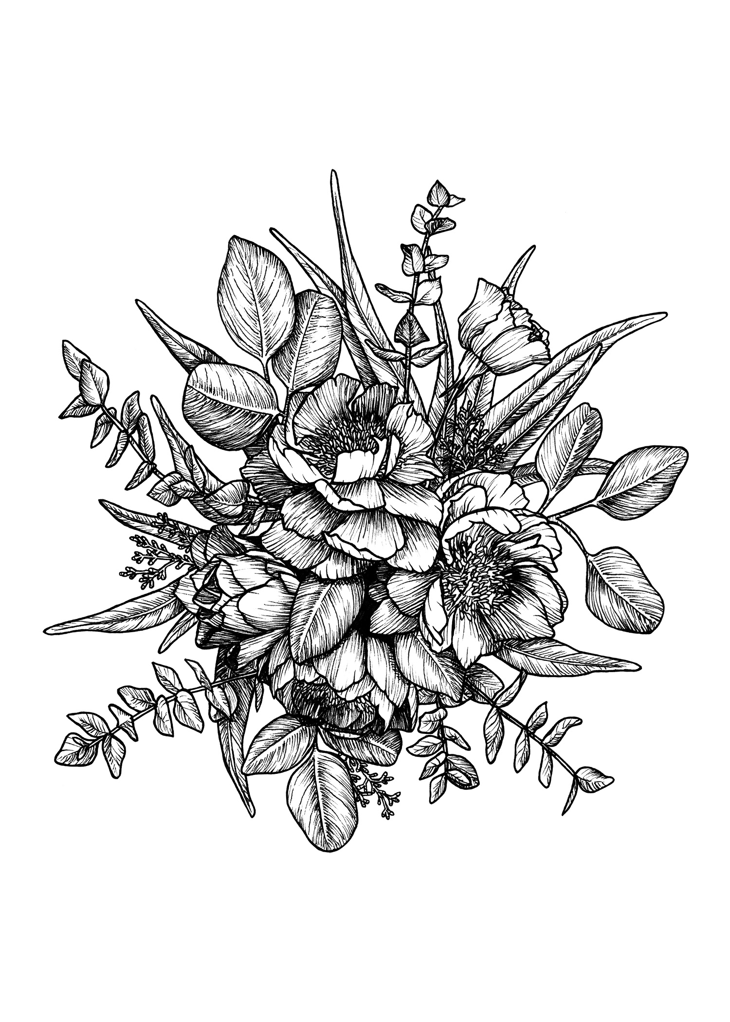 Alesha Krehbiel - Botanical Pen Drawings